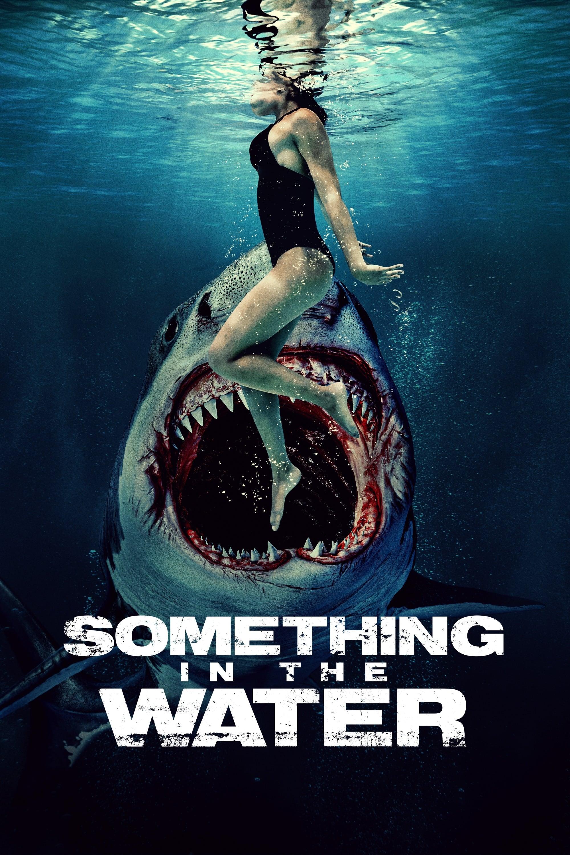 Poster of Something in the Water