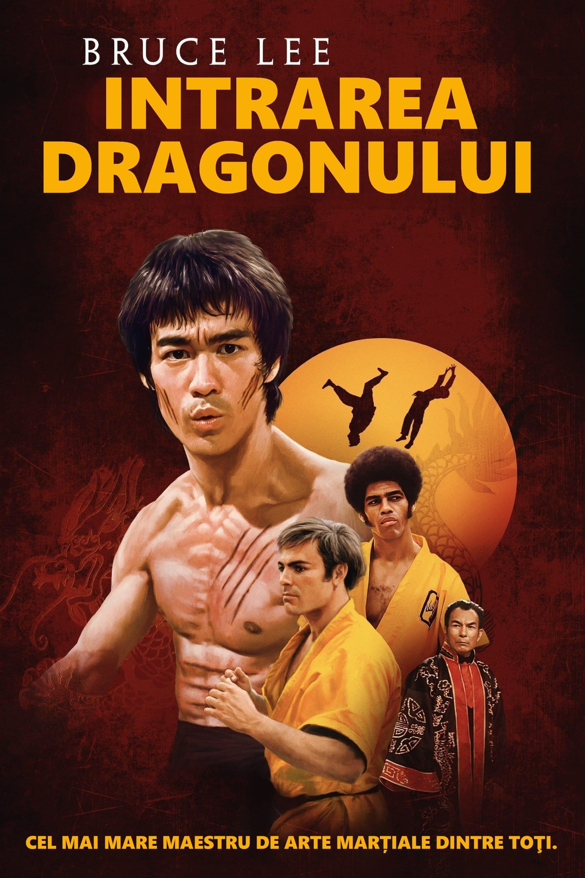 Poster of Intrarea dragonului