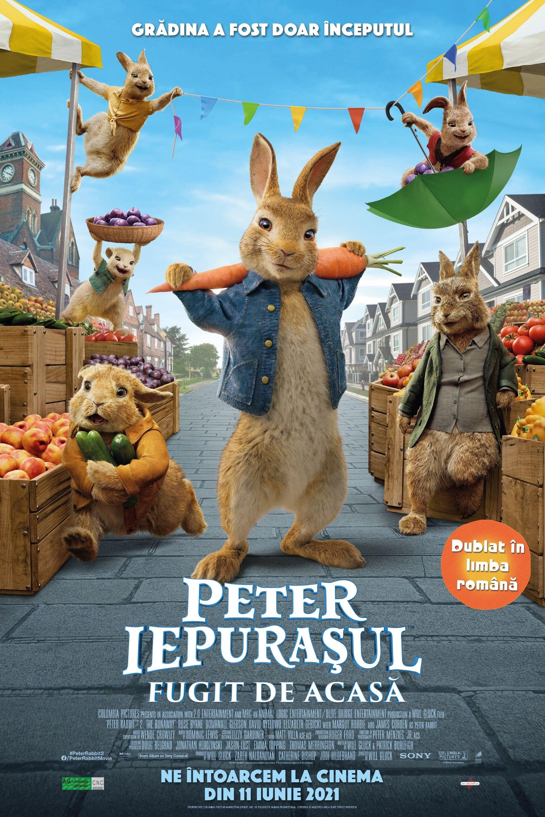 Poster of Peter Iepurașul: Fugit de acasă