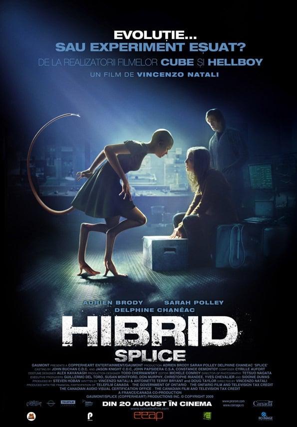 Poster of Hibrid