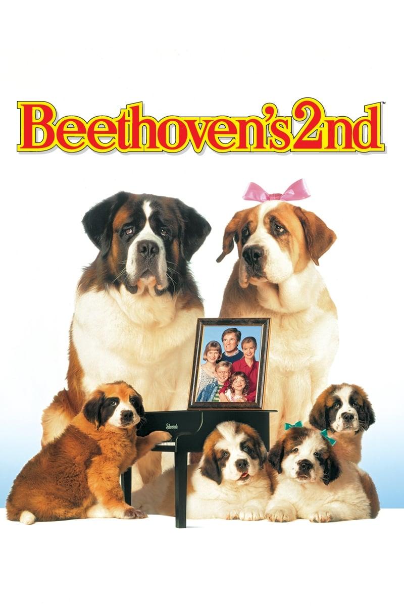 Poster of Beethovenii