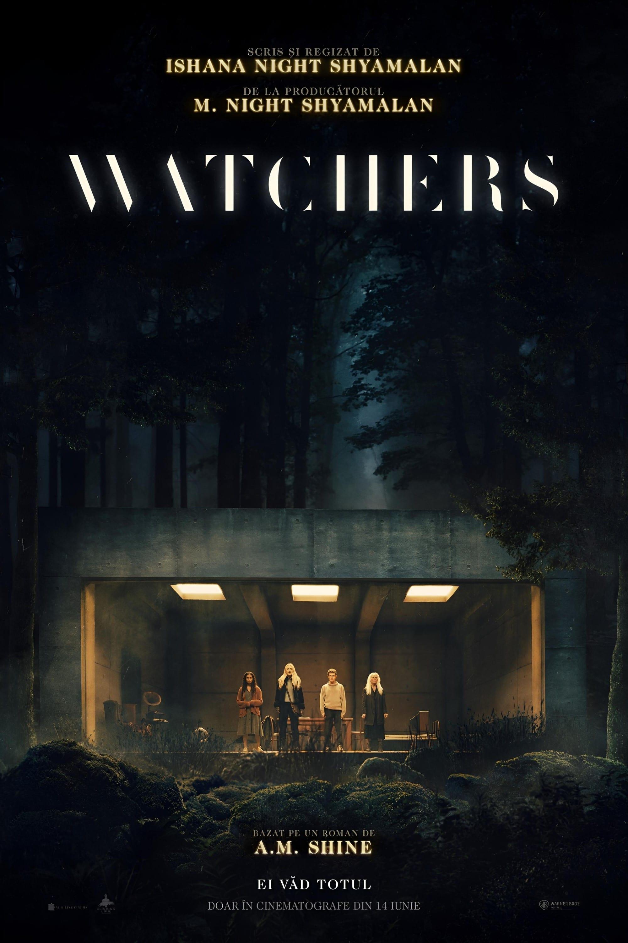 Poster of The Watchers