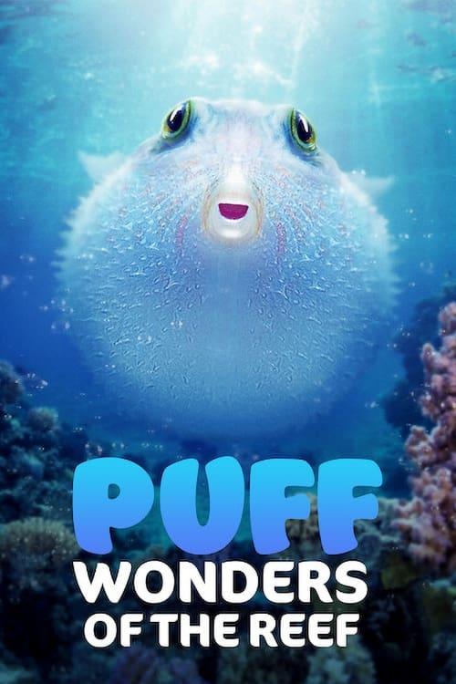 Poster of Puff: Minunile Recifului