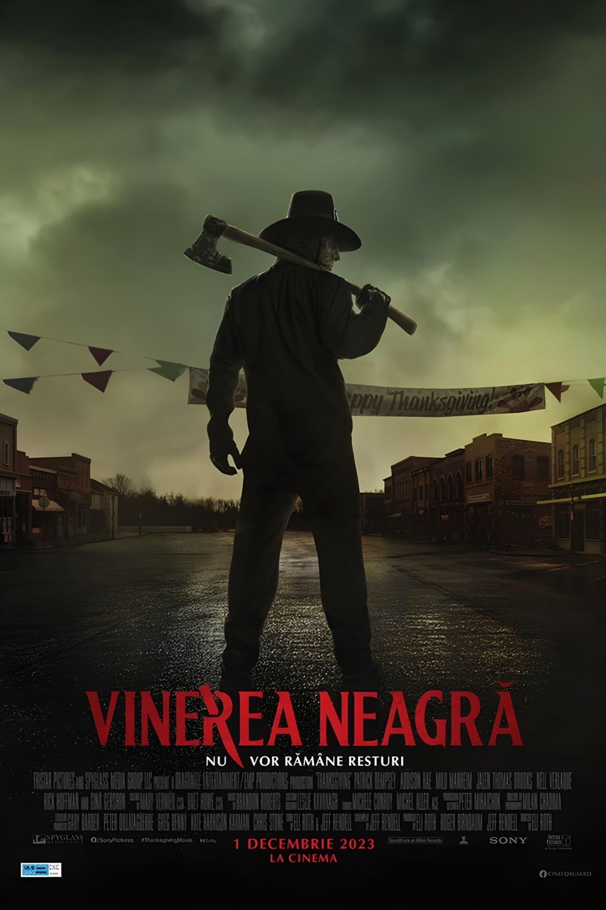 Poster of Vinerea neagră