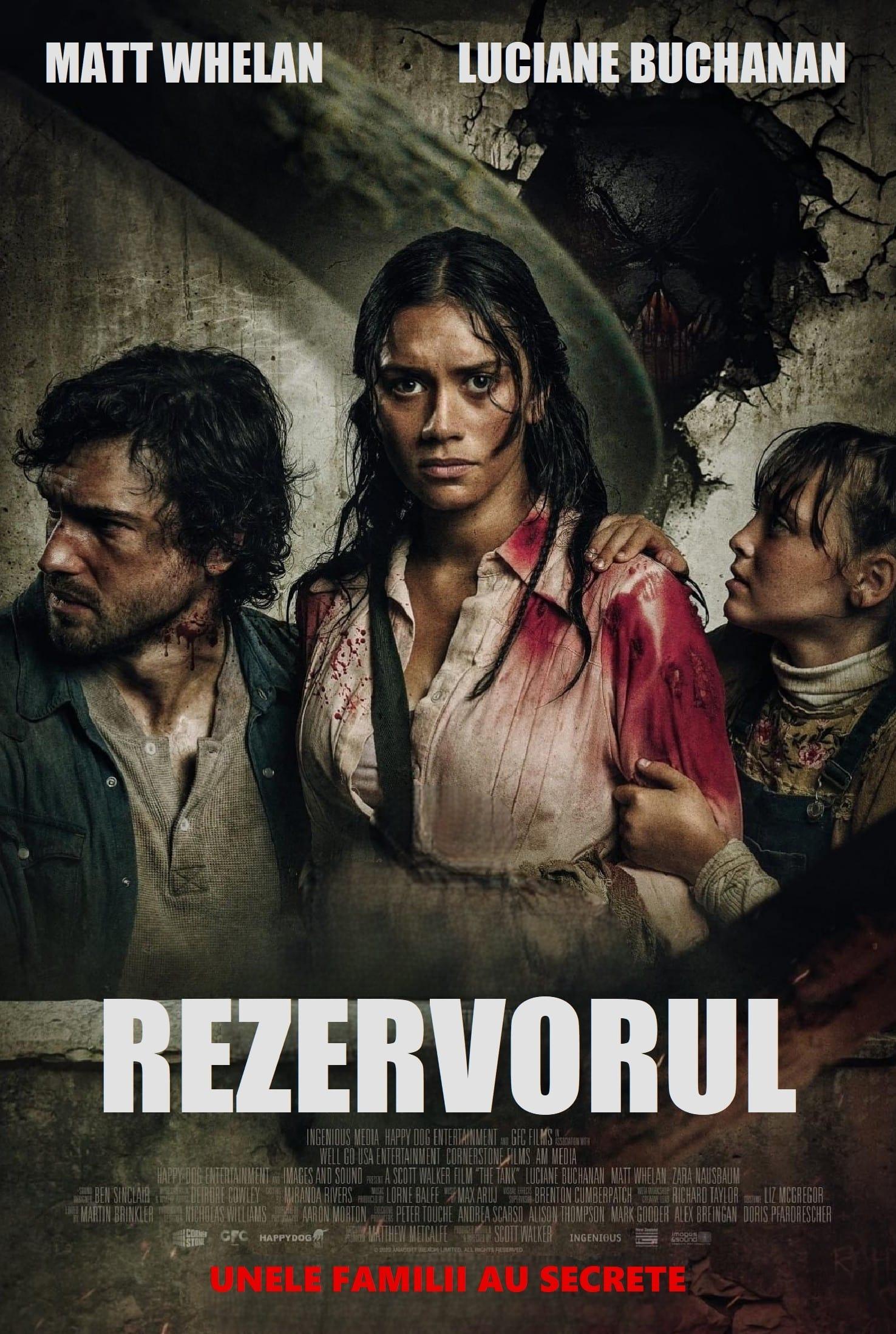 Poster of Rezervorul