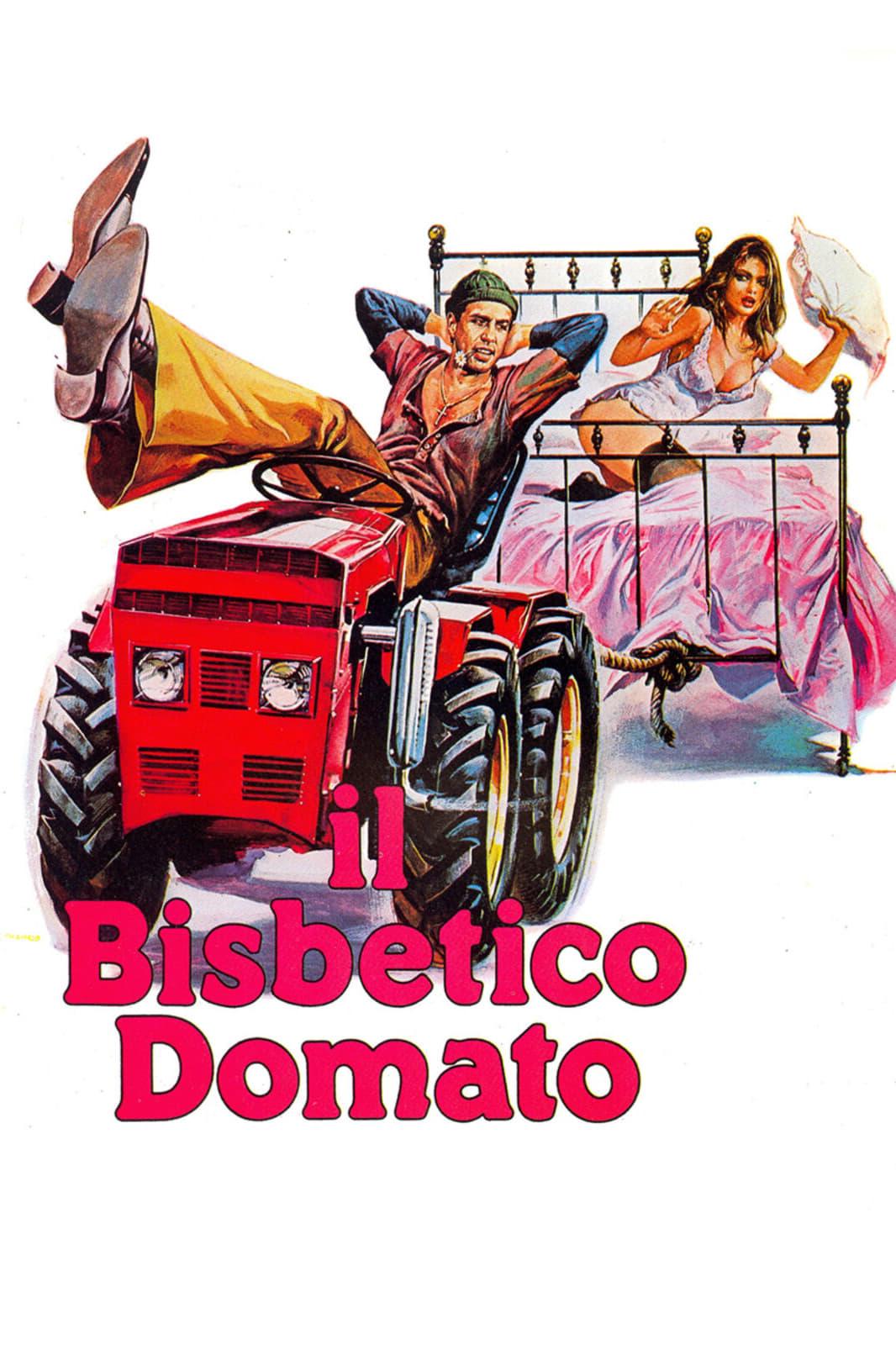 Poster of Il bisbetico domato