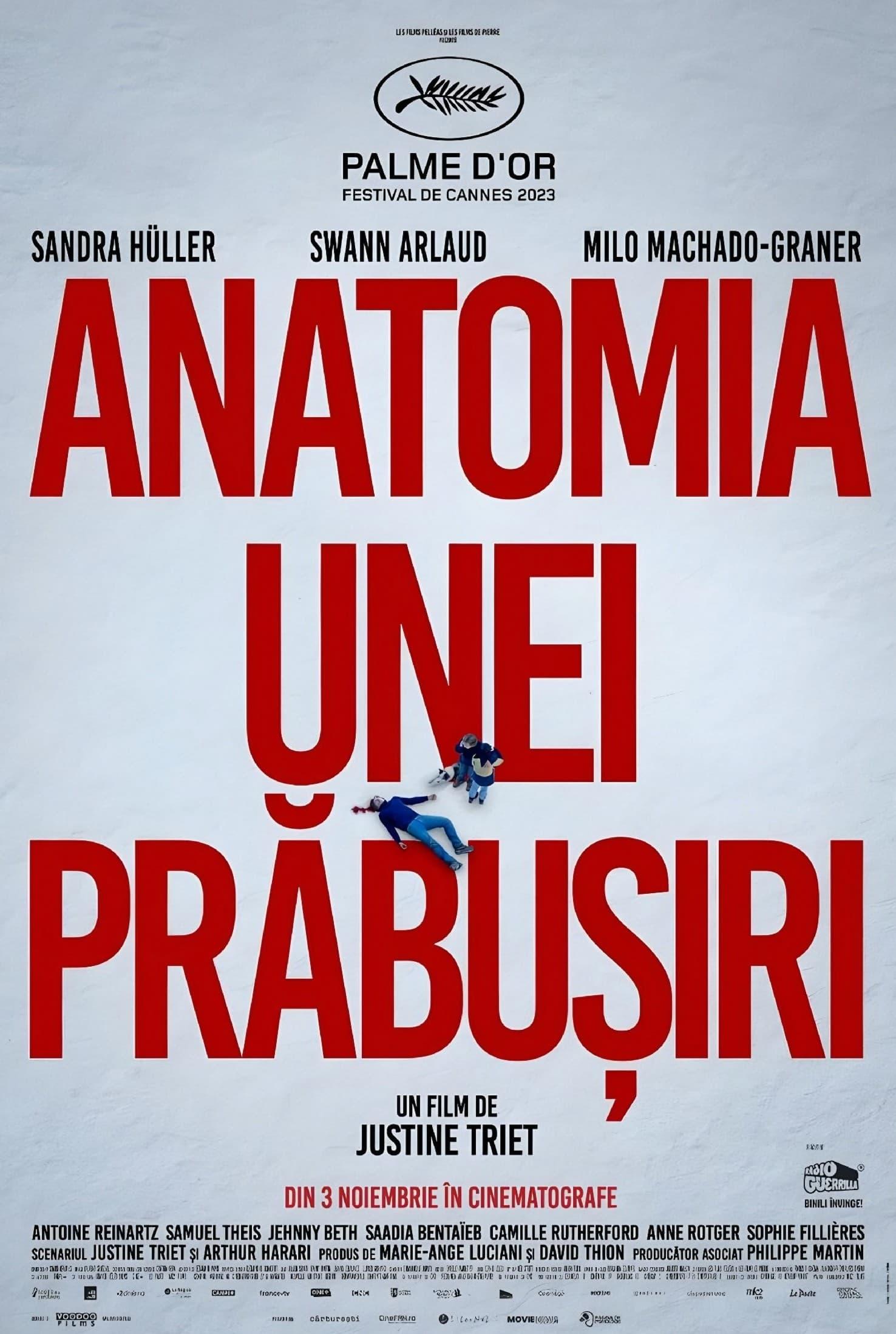 Poster of Anatomia unei prăbușiri