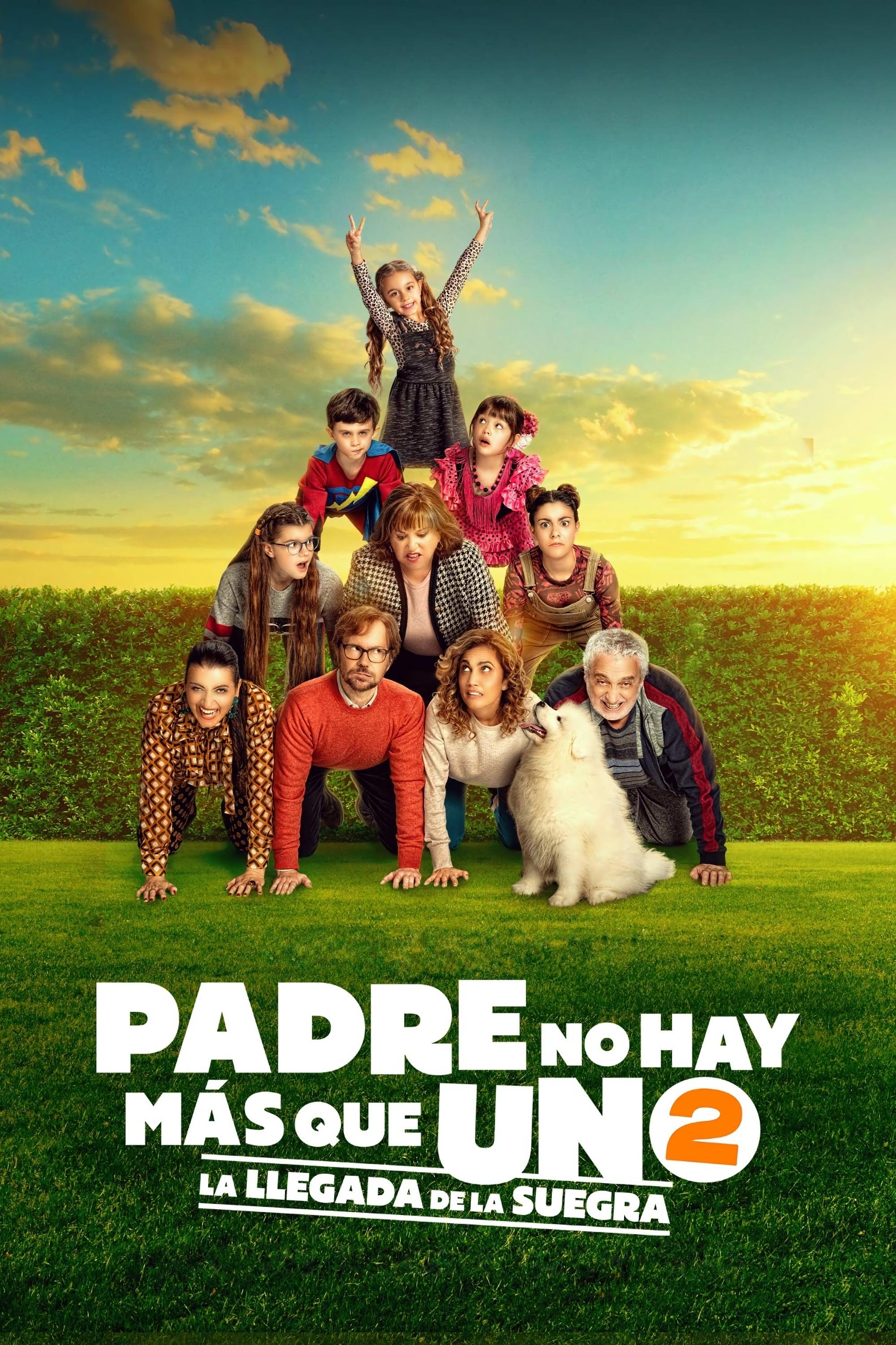 Poster of Padre no hay más que uno 2: la llegada de la suegra