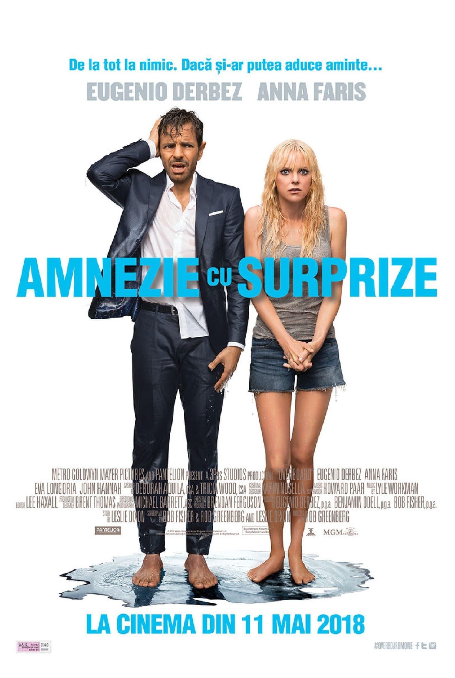 Poster of Amnezie cu surprize