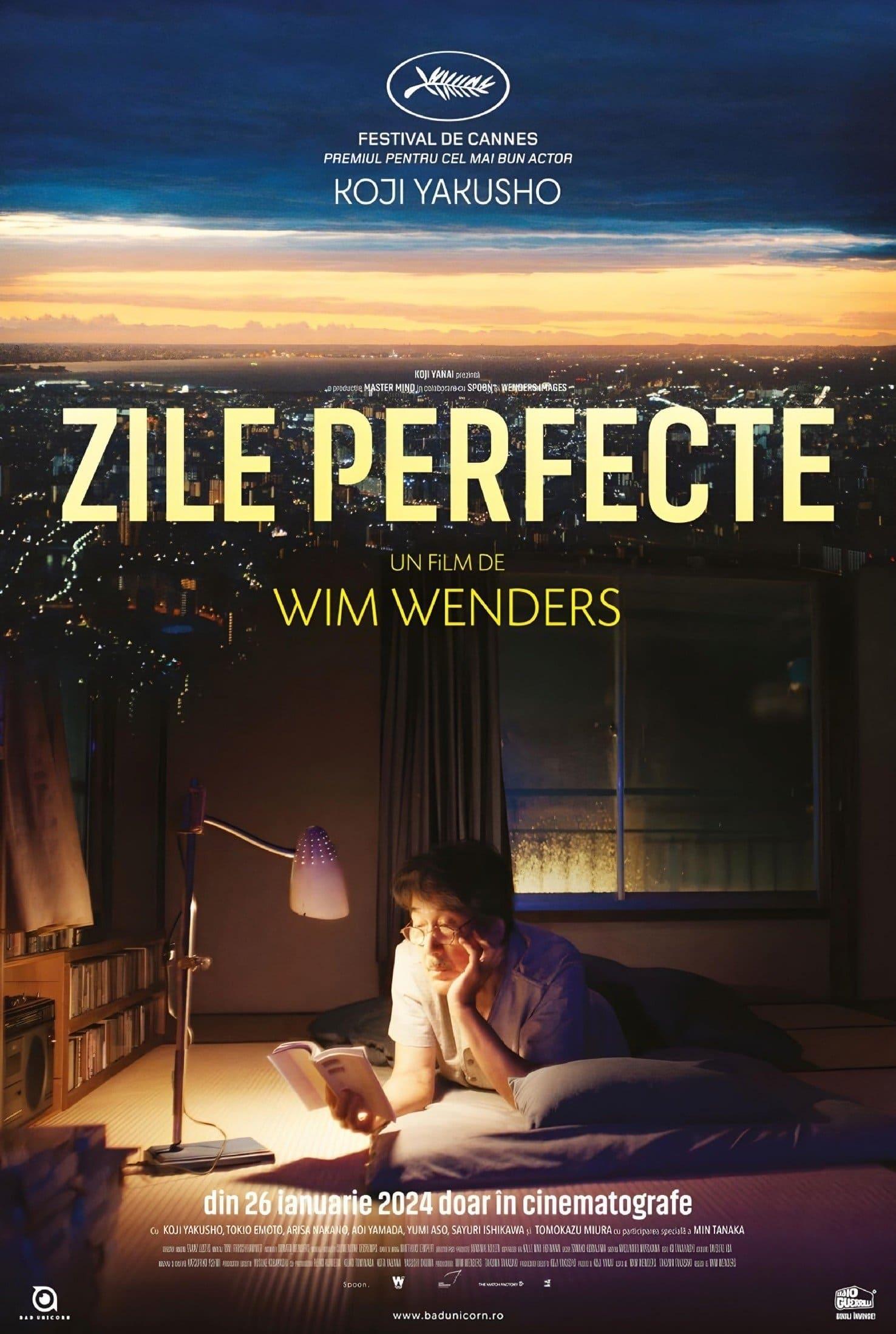 Poster of Zile perfecte