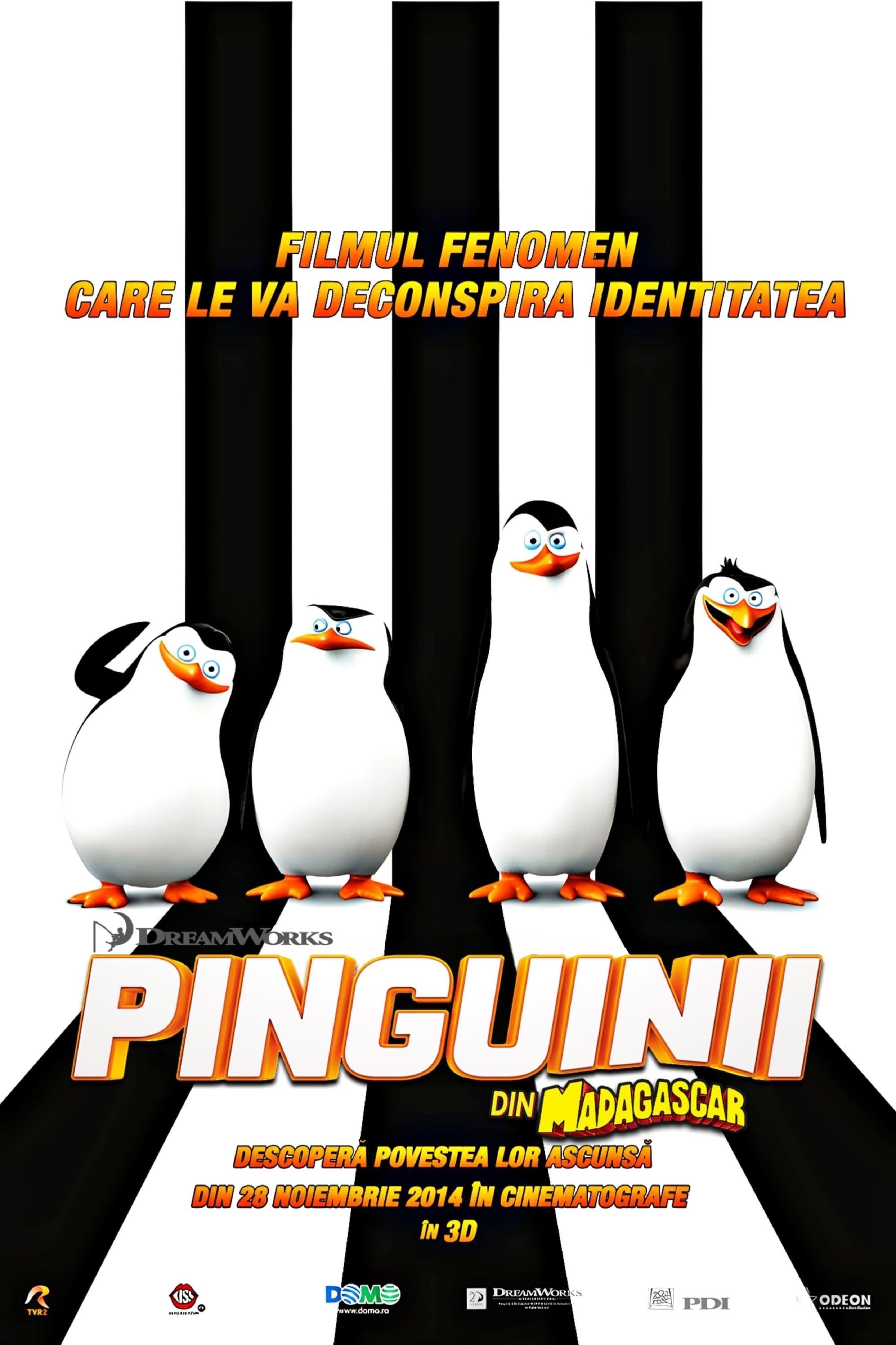 Poster of Pinguinii din Madagascar