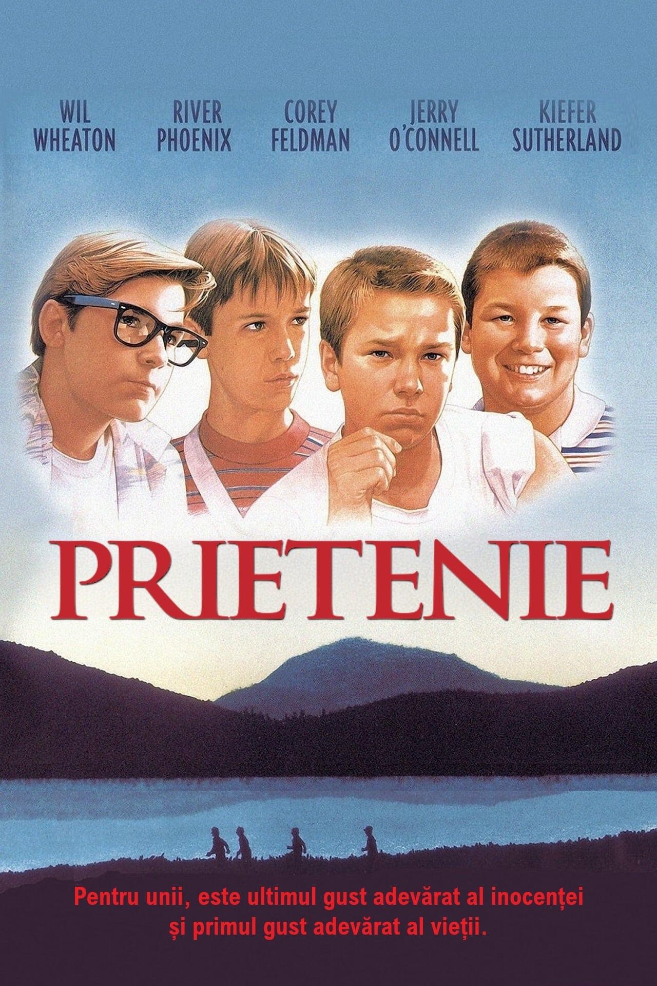 Poster of Prietenie