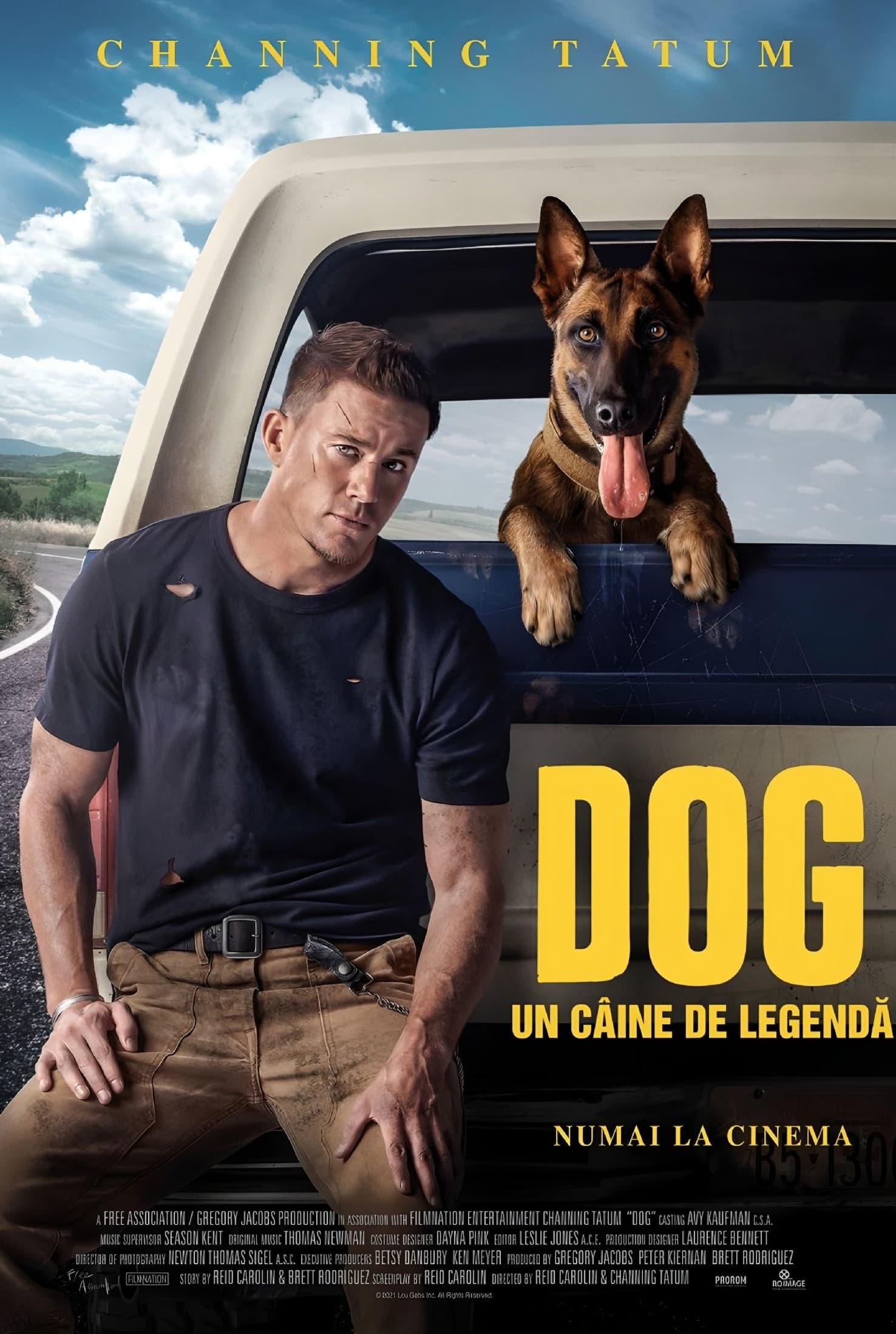 Poster of Dog. Un câine de legendă