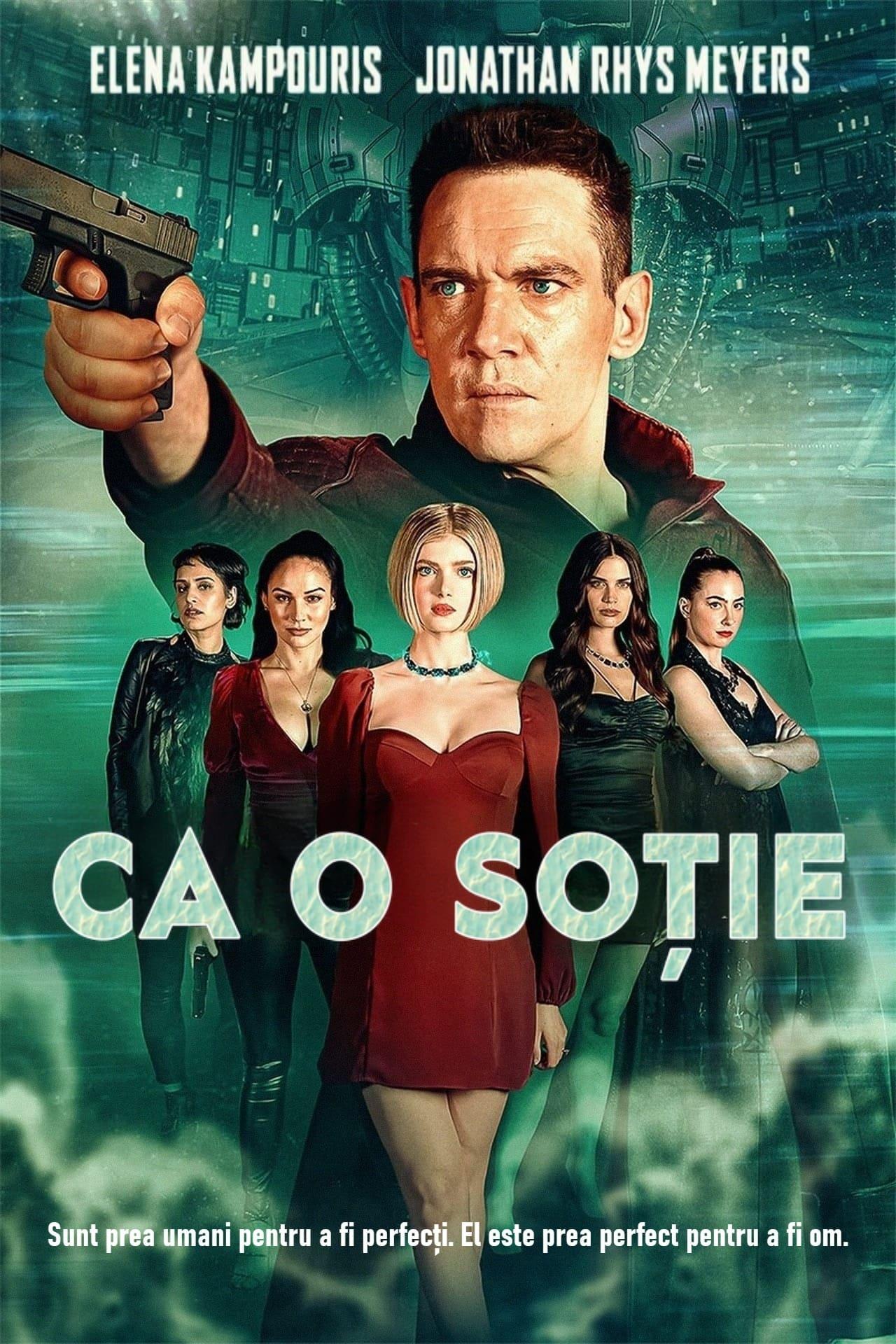 Poster of Ca o soție