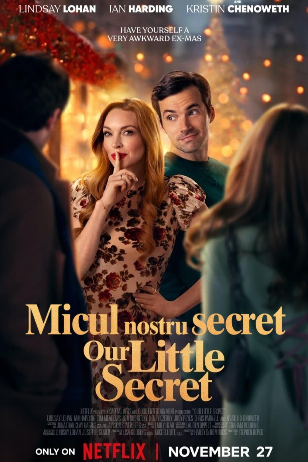 Poster of Micul nostru secret