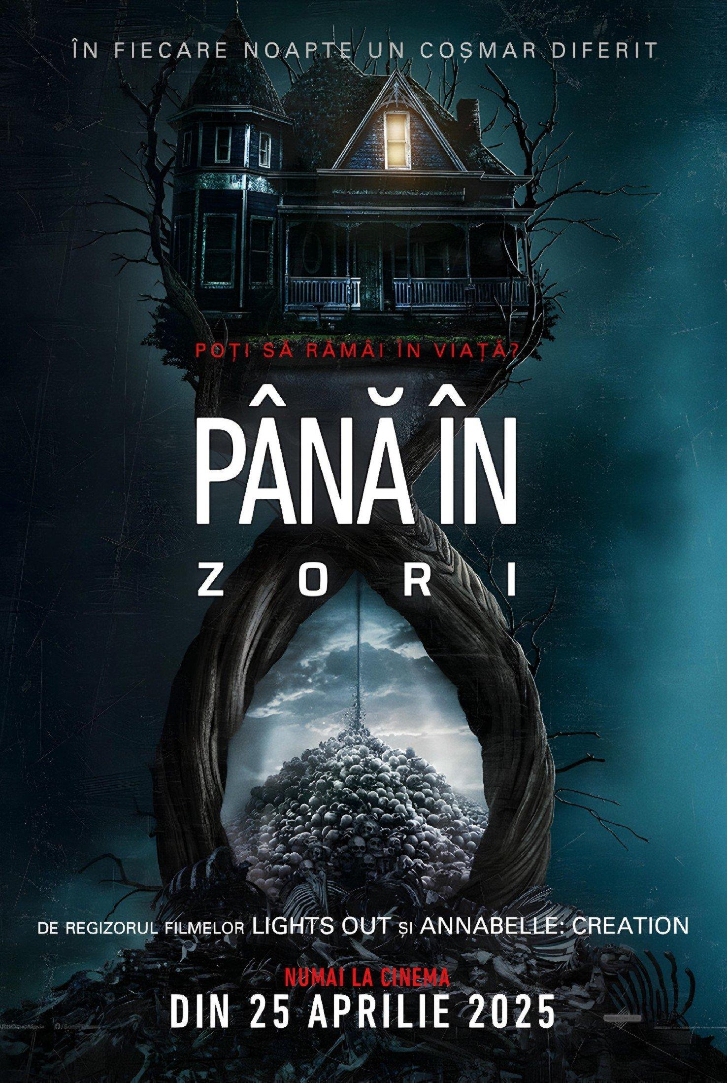 Poster of Până în zori