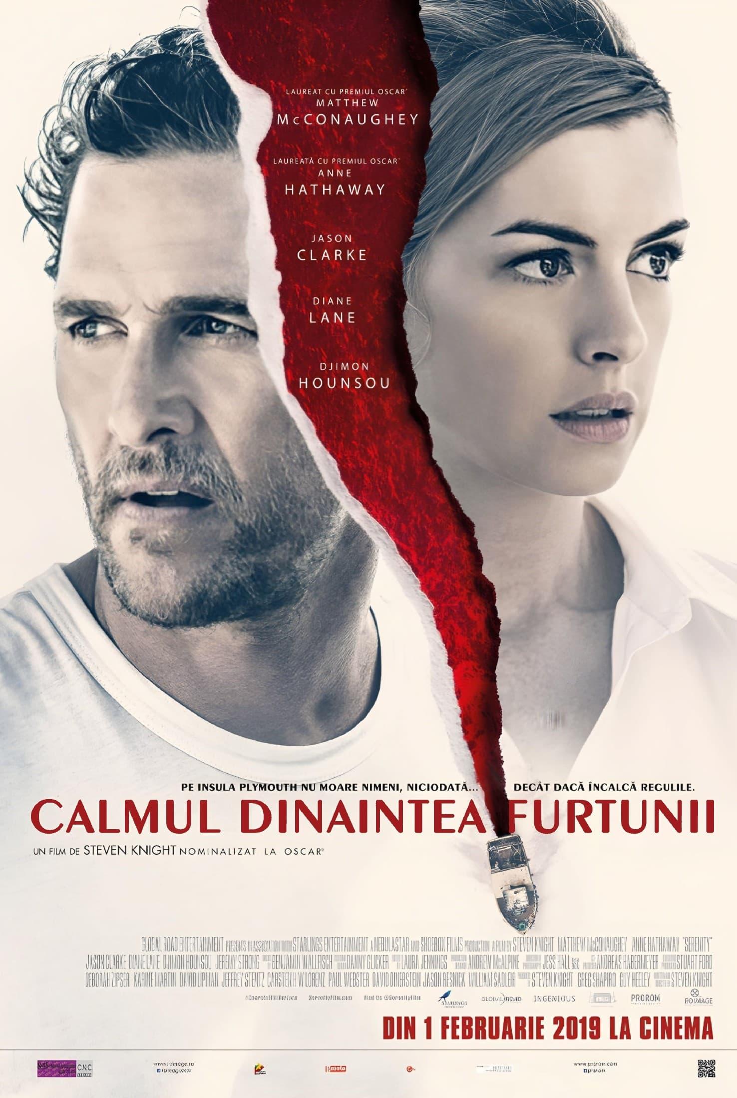 Poster of Calmul dinaintea furtunii