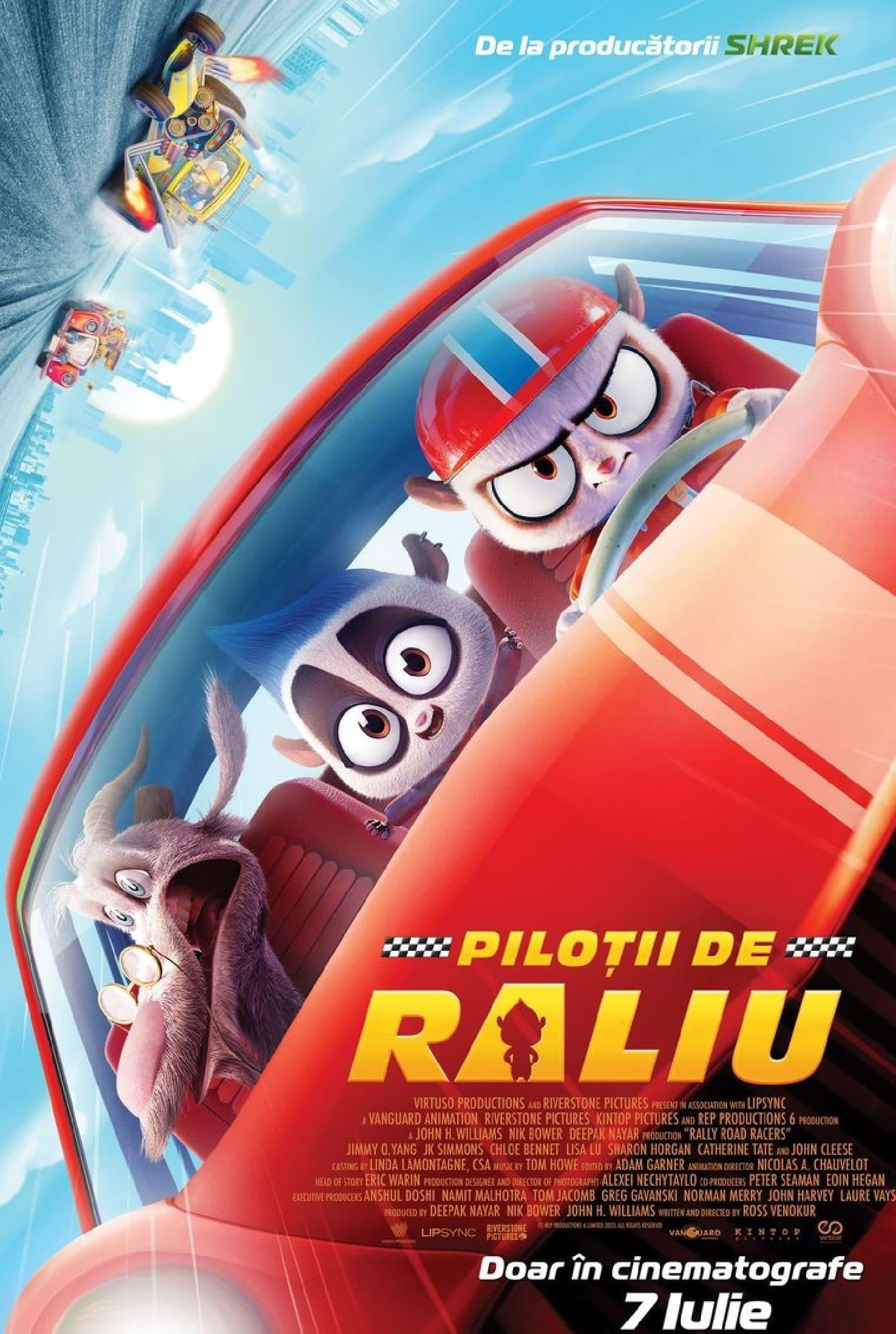 Poster of Piloții de raliu