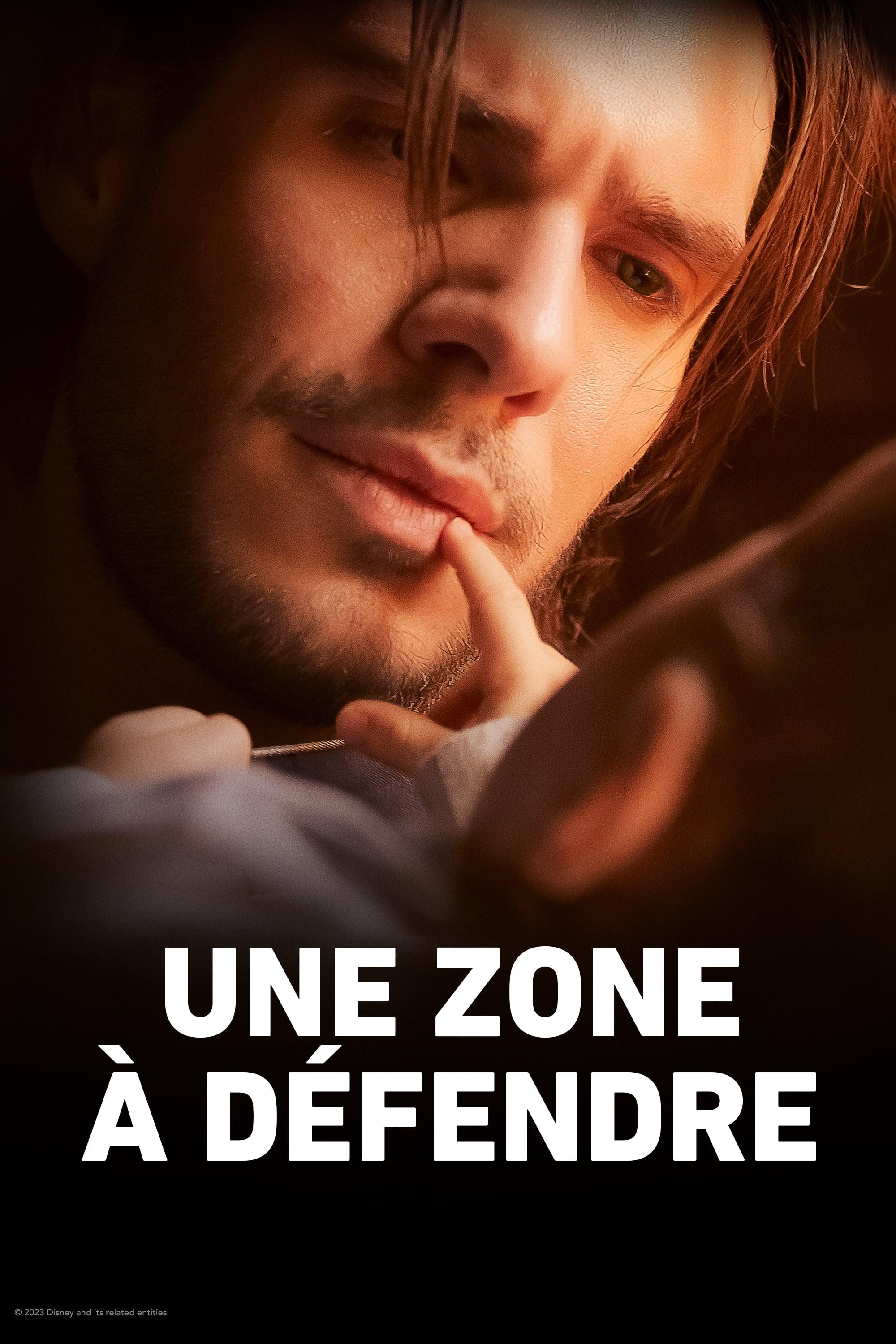 Poster of Une zone à défendre