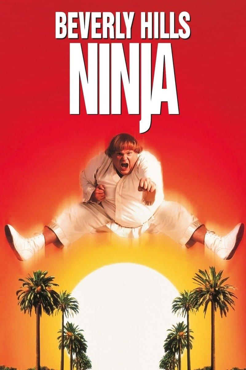 Poster of Ninja din Beverly Hills