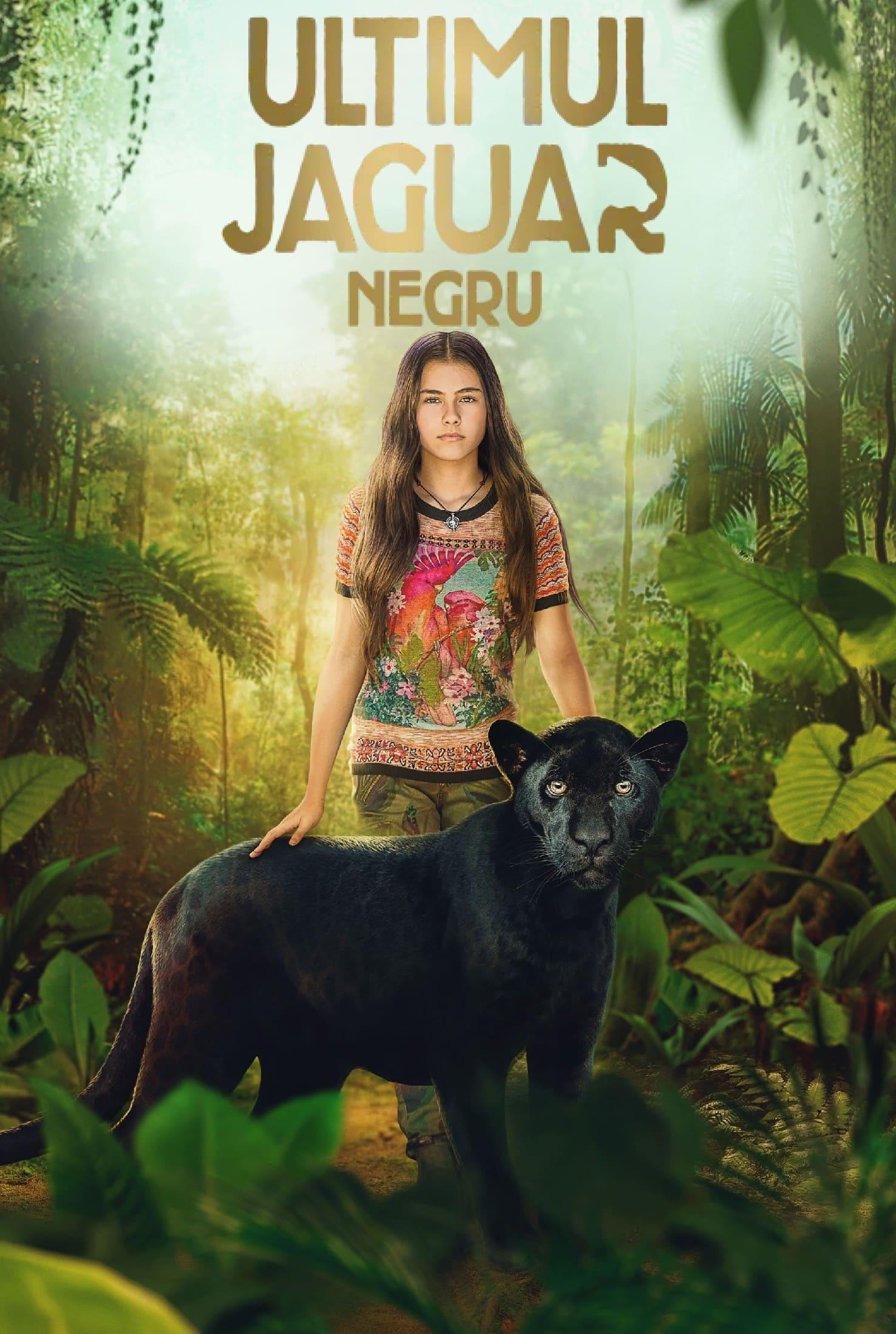 Poster of Ultimul jaguar negru