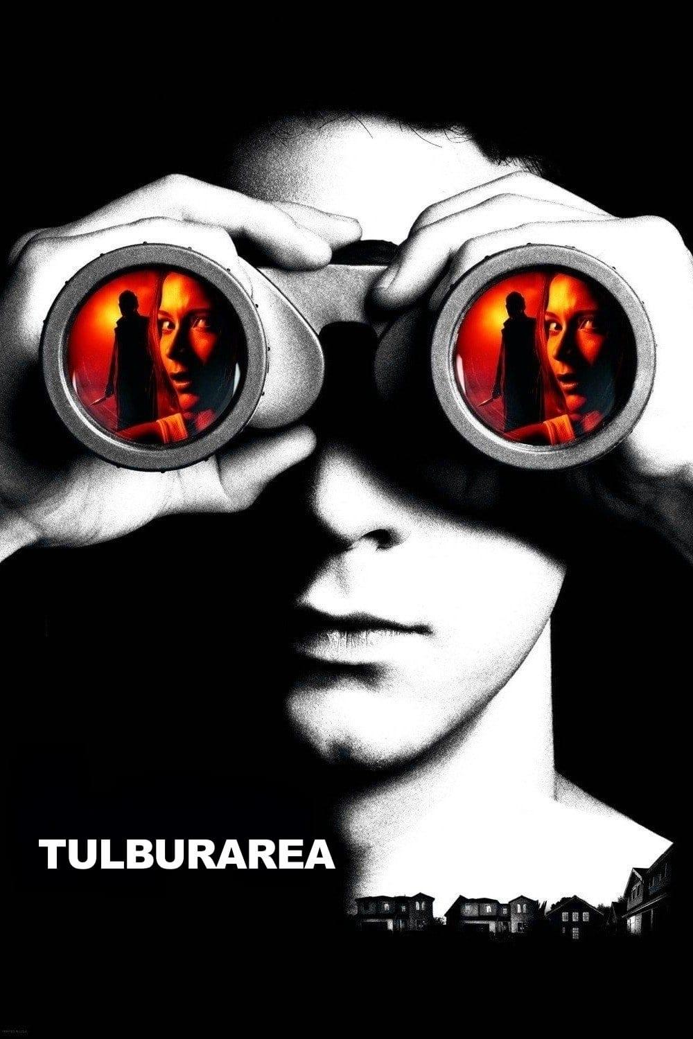 Poster of Tulburarea