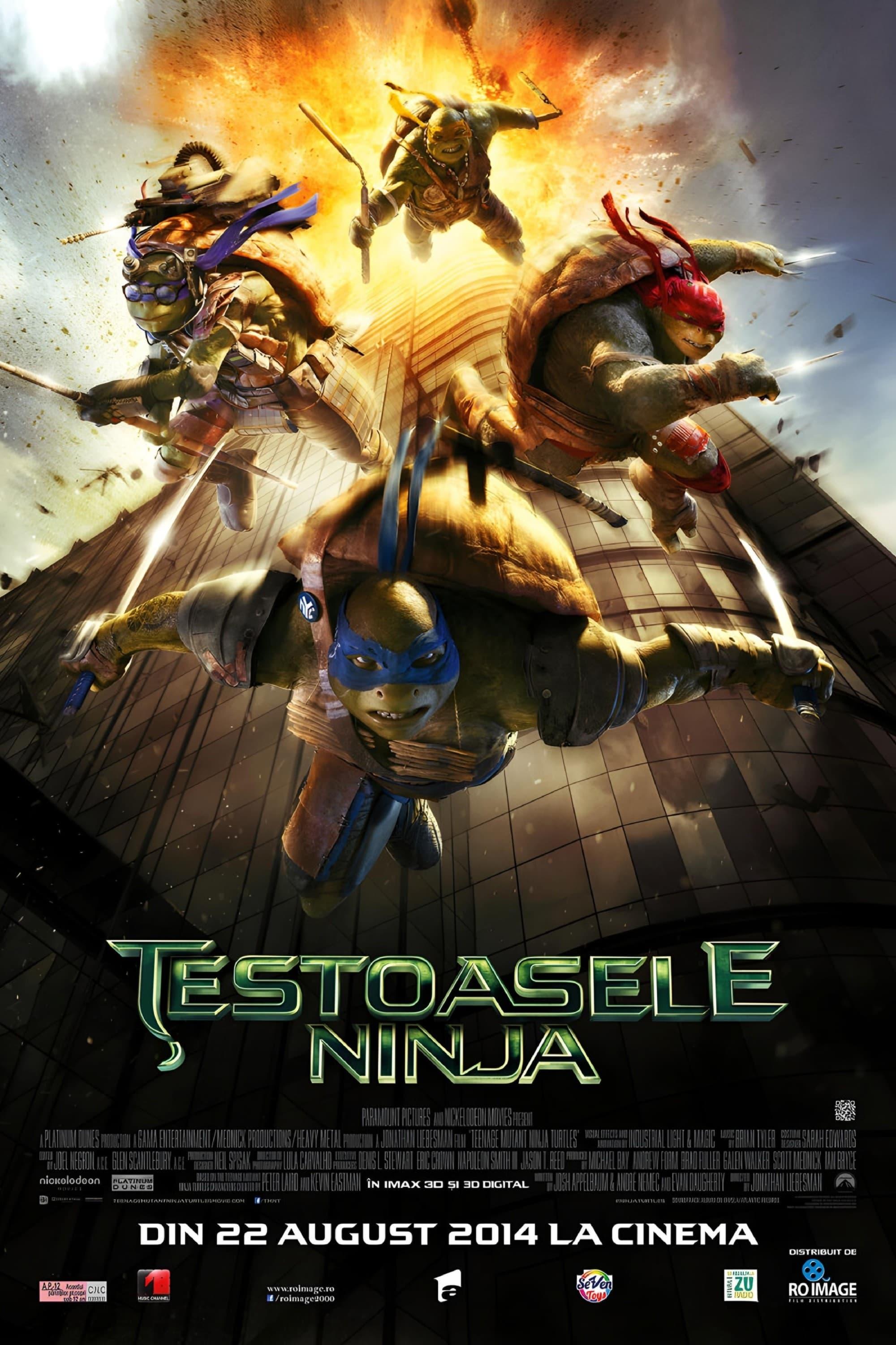 Poster of Țestoasele Ninja adolescente