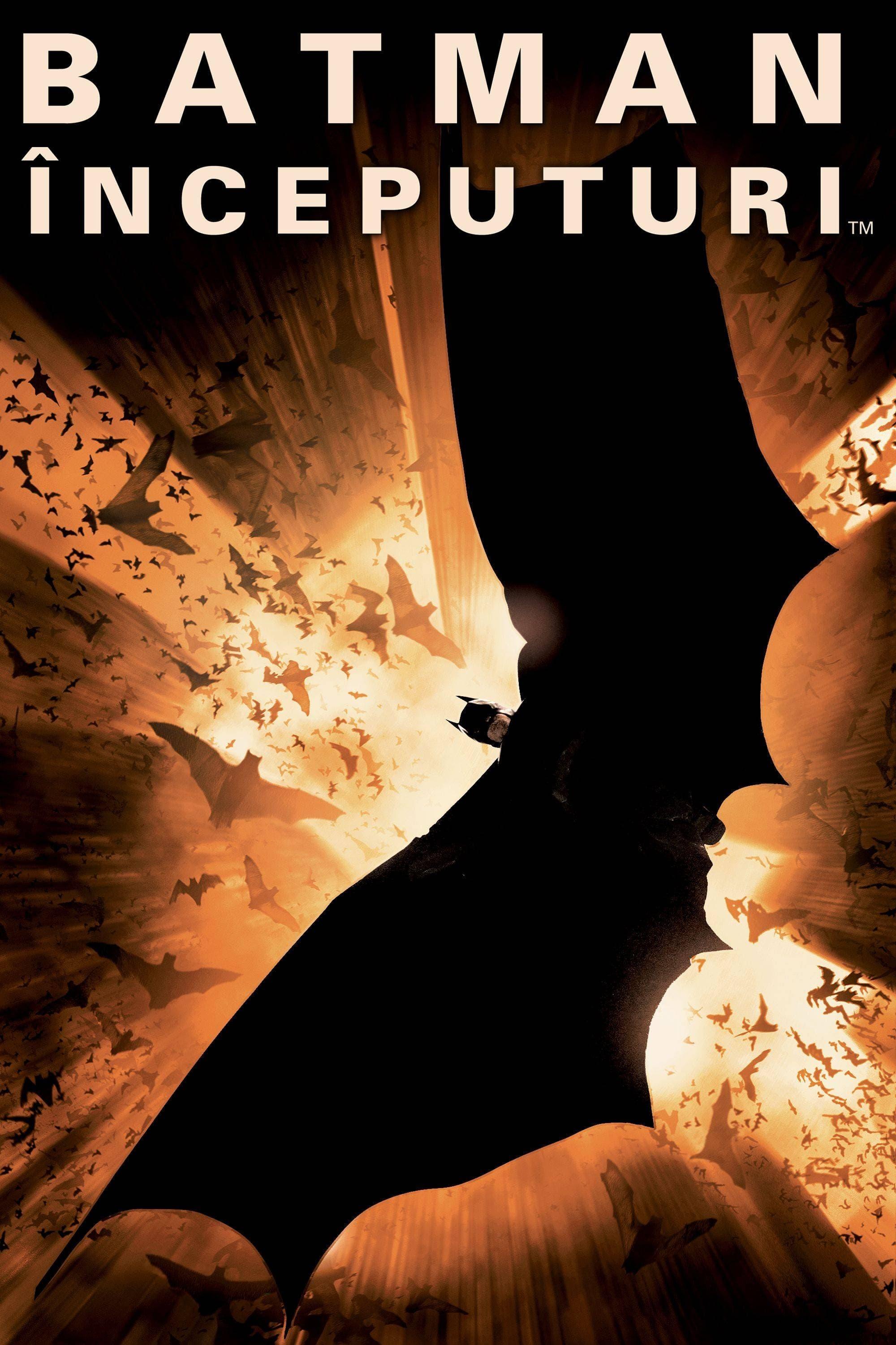 Poster of Batman - Începuturi