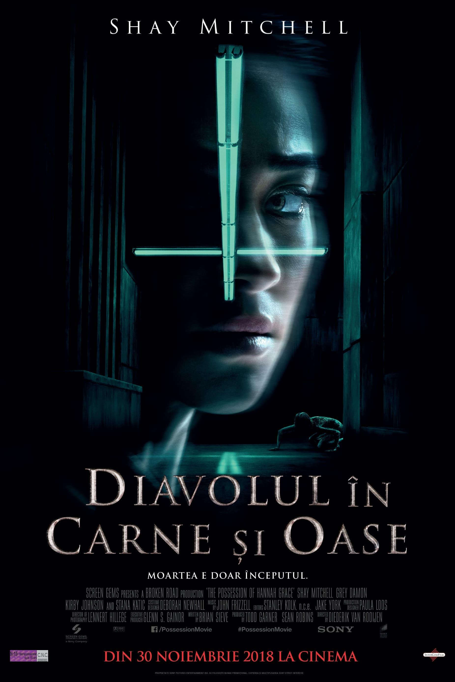 Poster of Diavolul în carne și oase