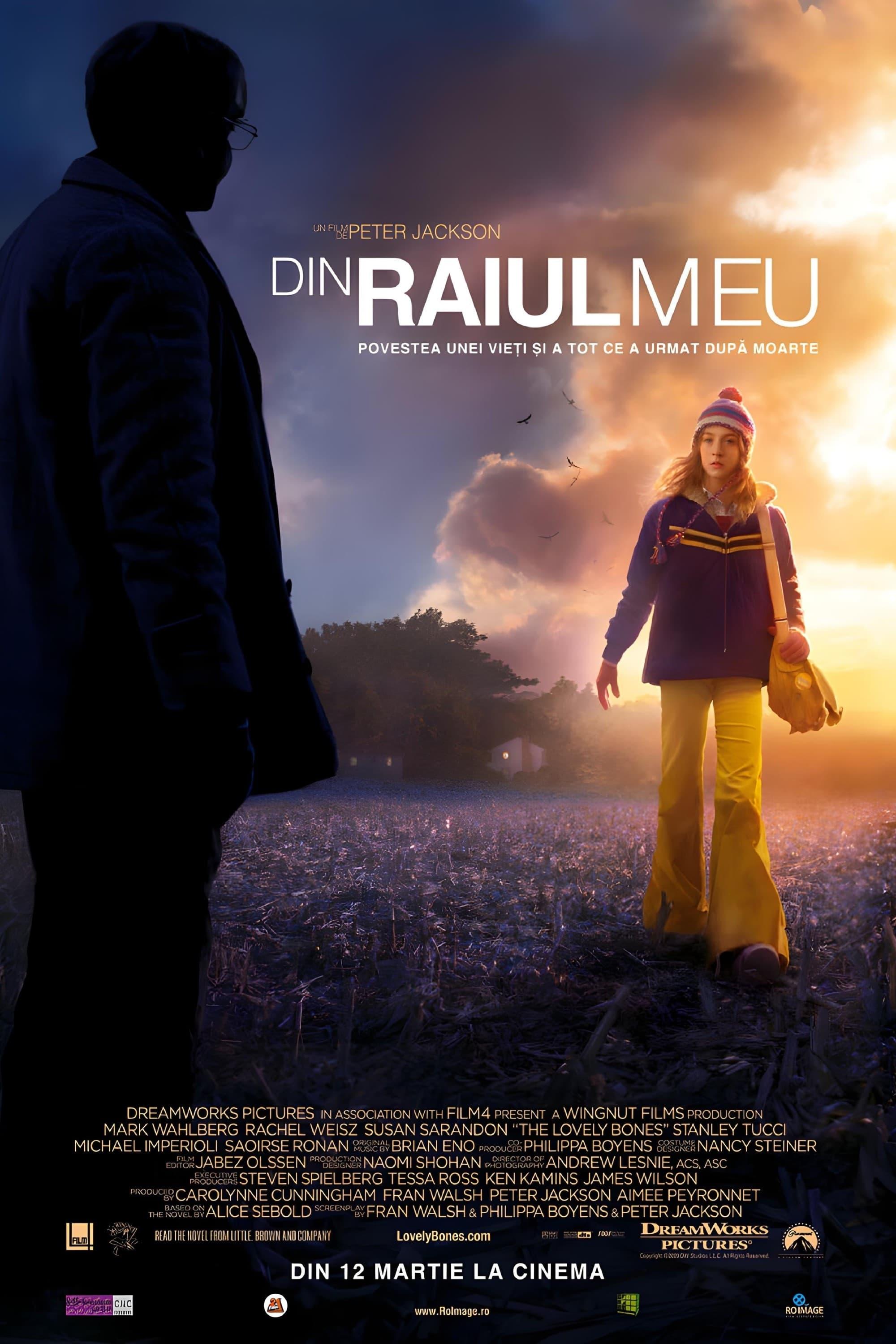 Poster of Din Raiul meu