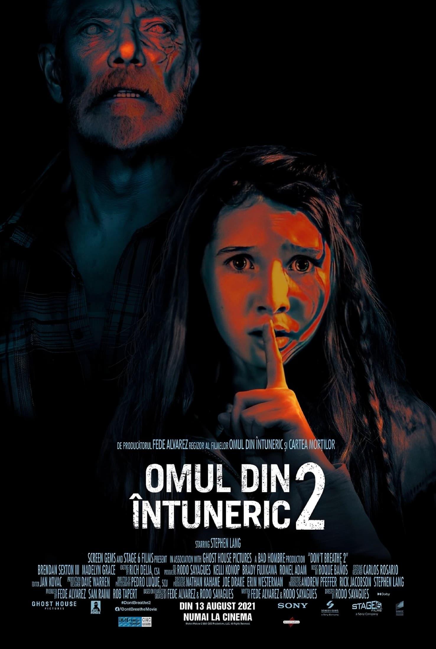 Poster of Omul din Întuneric 2