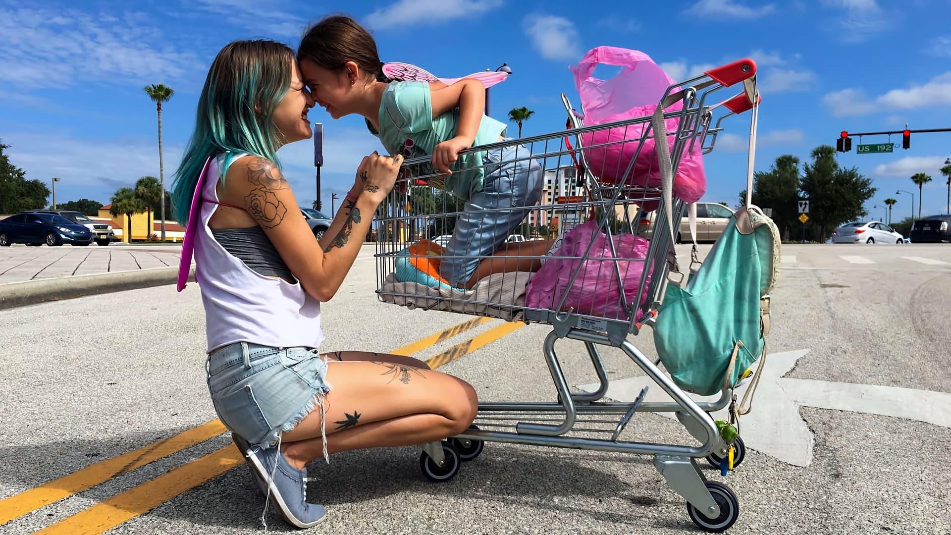 Proiectul Florida