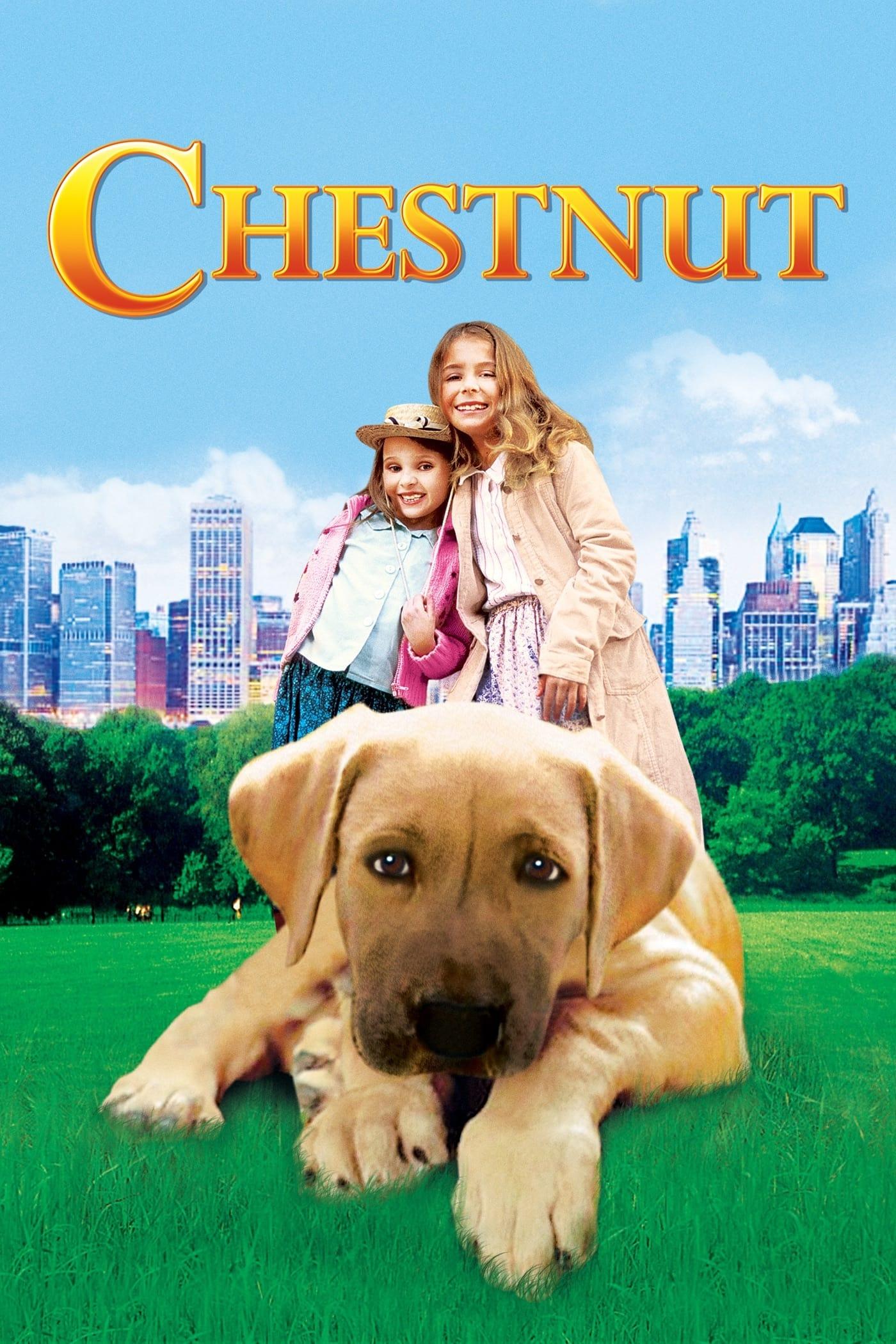 Poster of Chestnut: Hero of Central Park