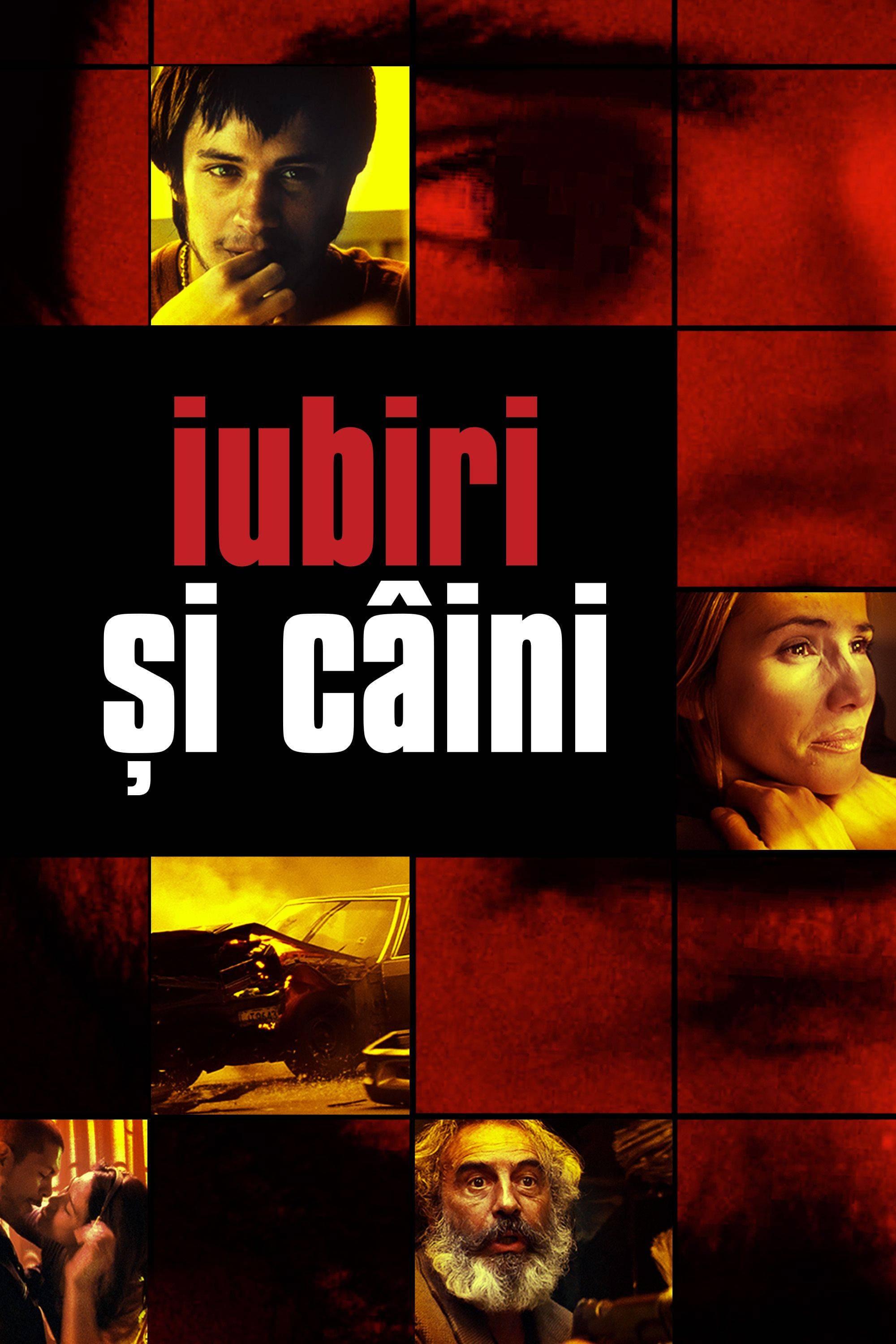 Poster of Iubiri și câini