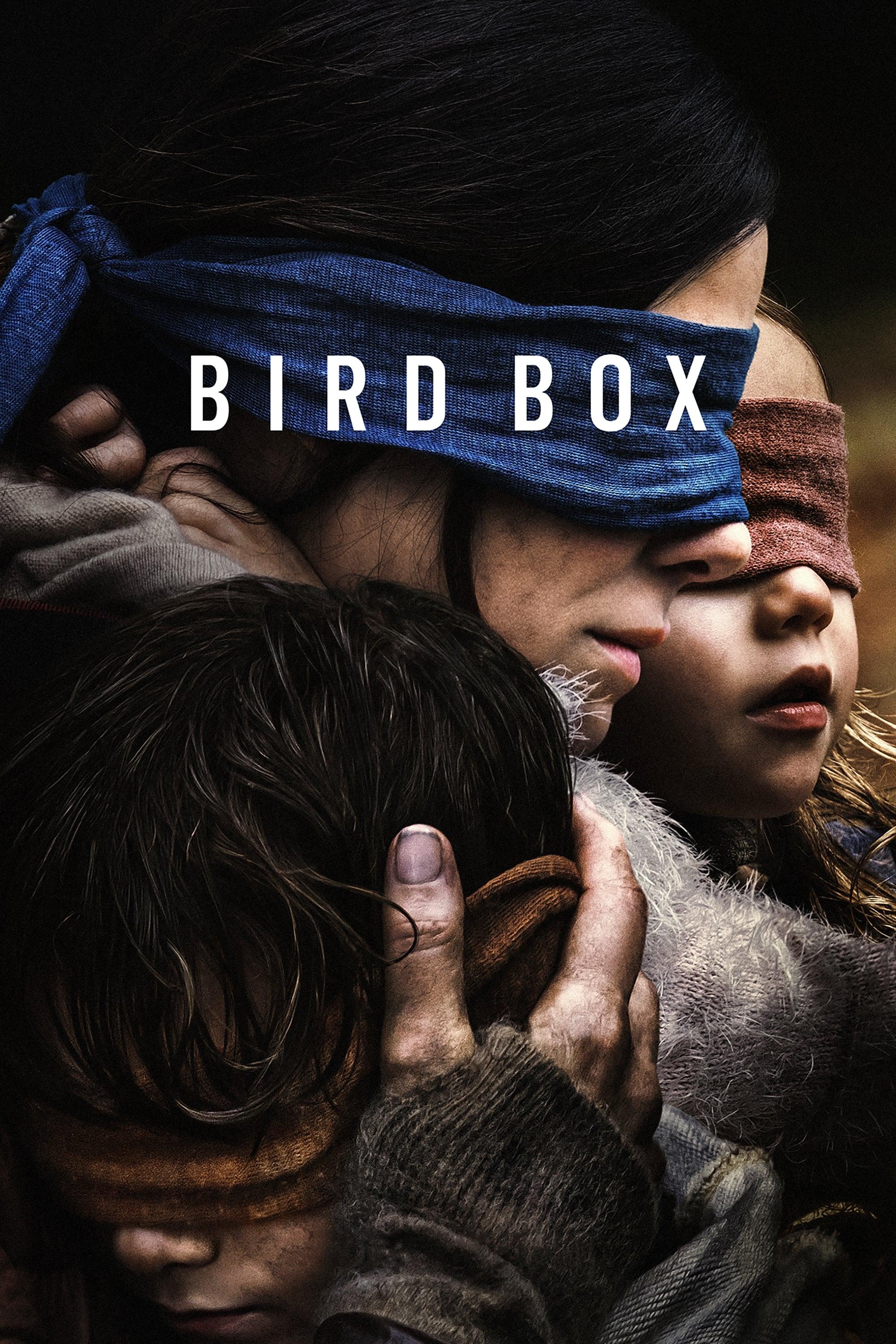 Poster of Bird Box: Orbește