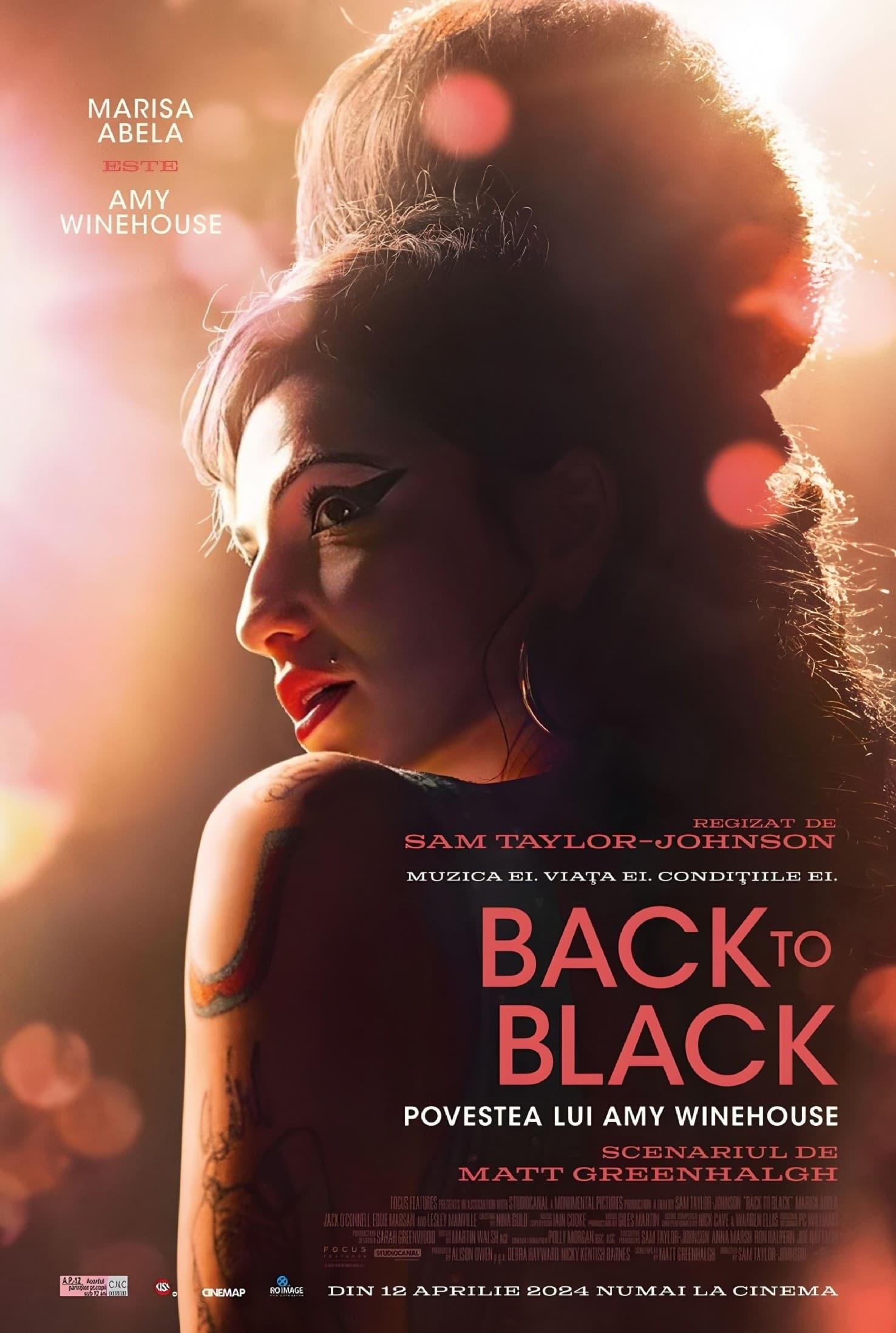 Poster of Back to Black