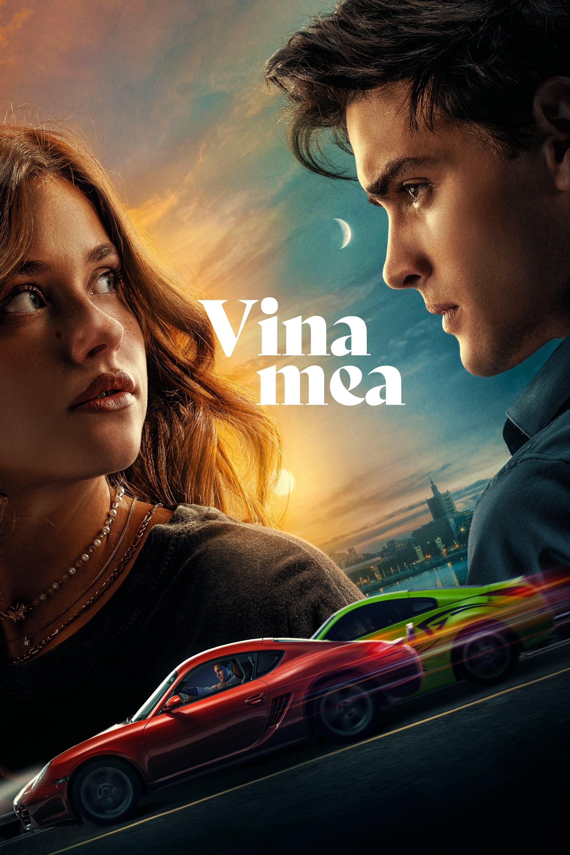 Poster of Vina mea