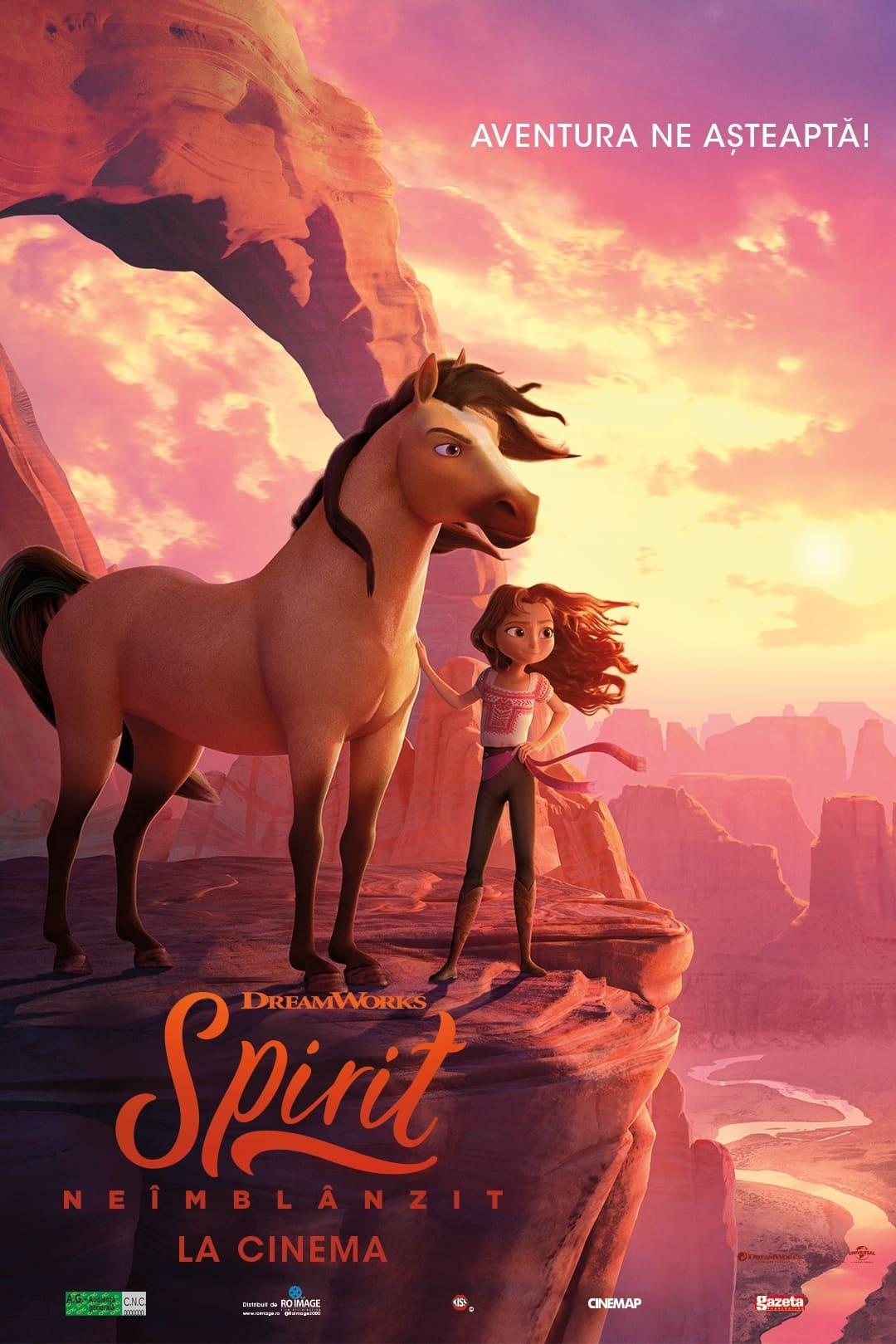 Poster of Spirit neîmblânzit