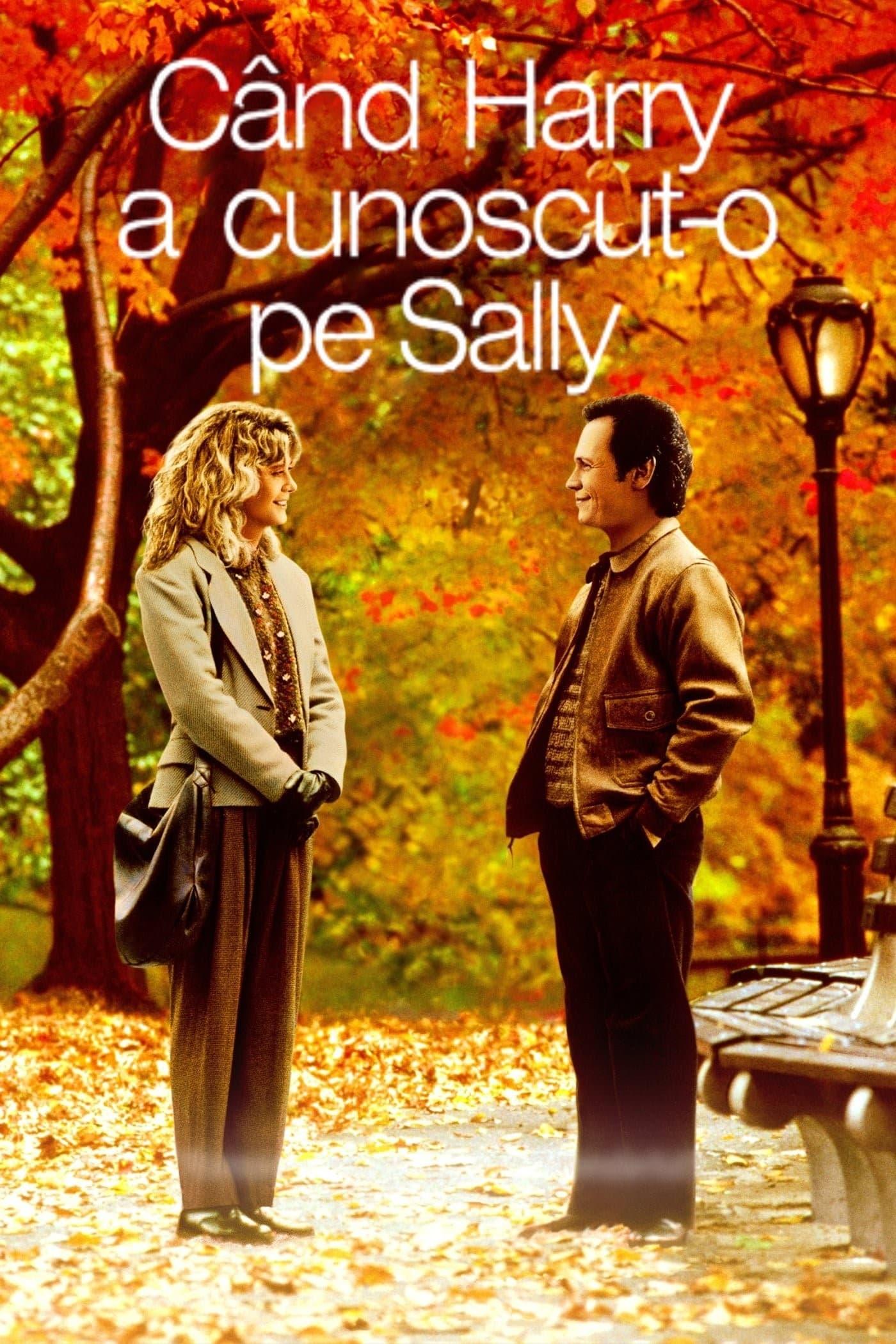 Poster of Când Harry a cunoscut-o pe Sally