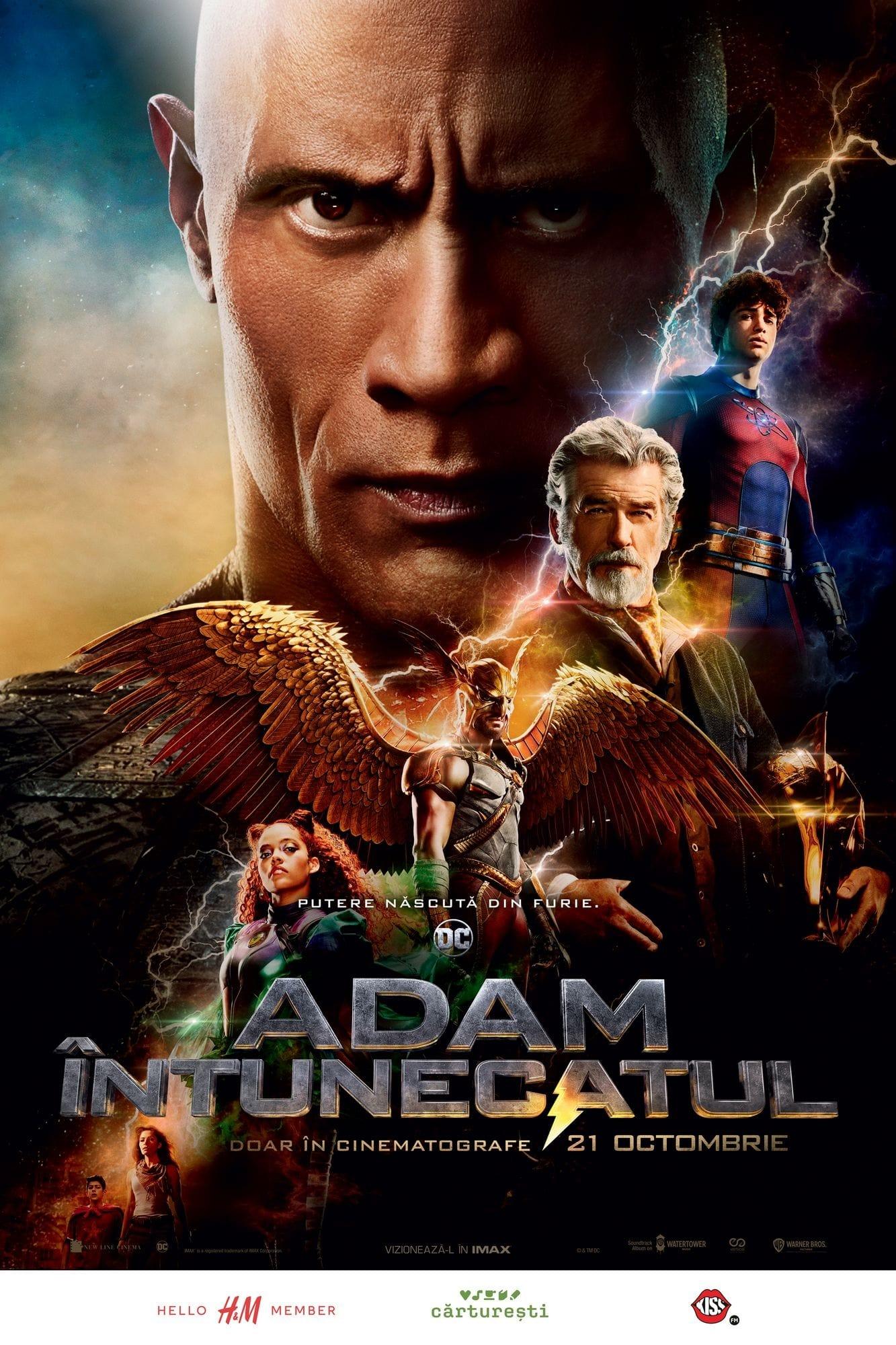 Poster of Adam Întunecatul