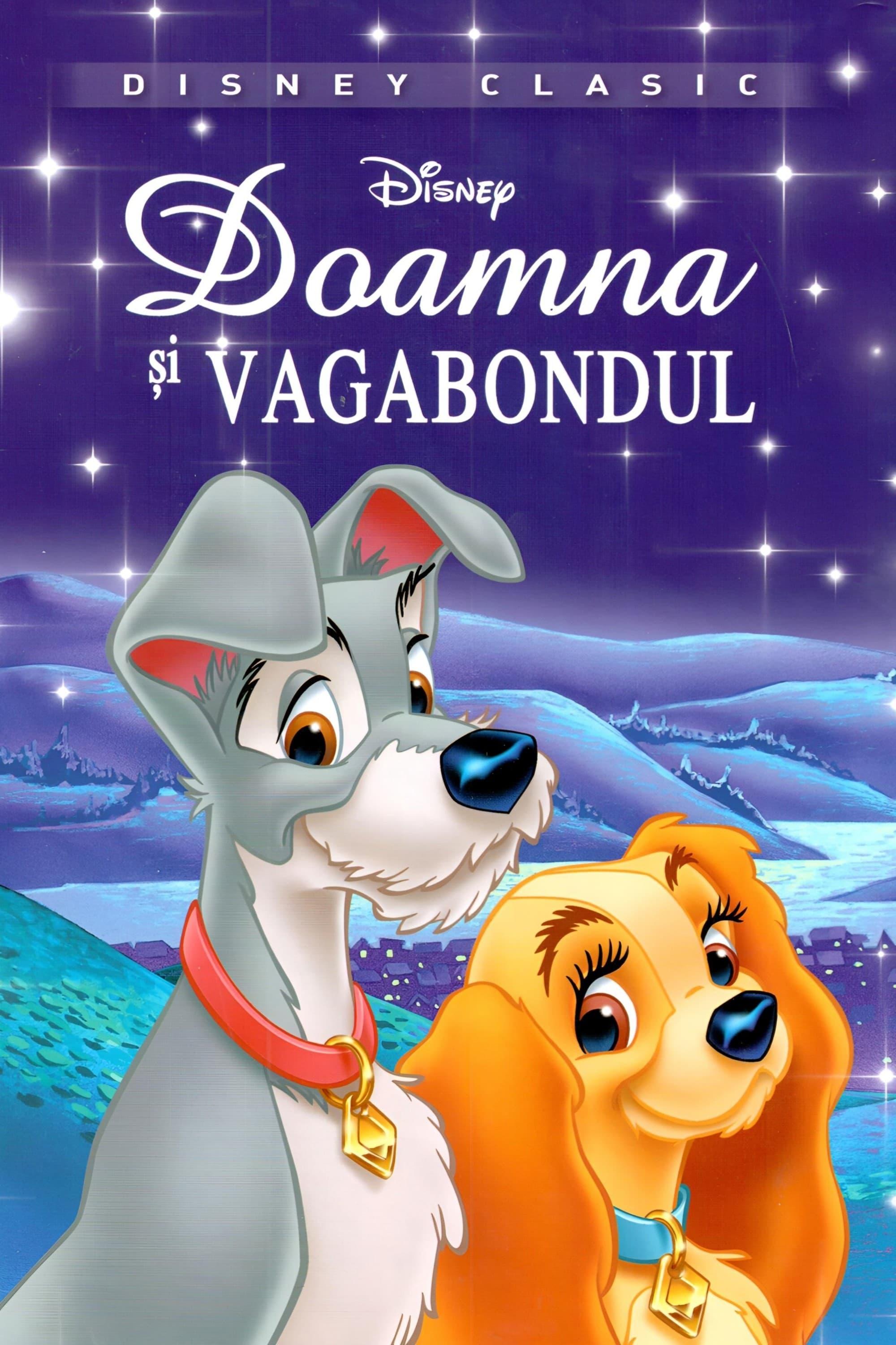 Poster of Doamna și vagabondul