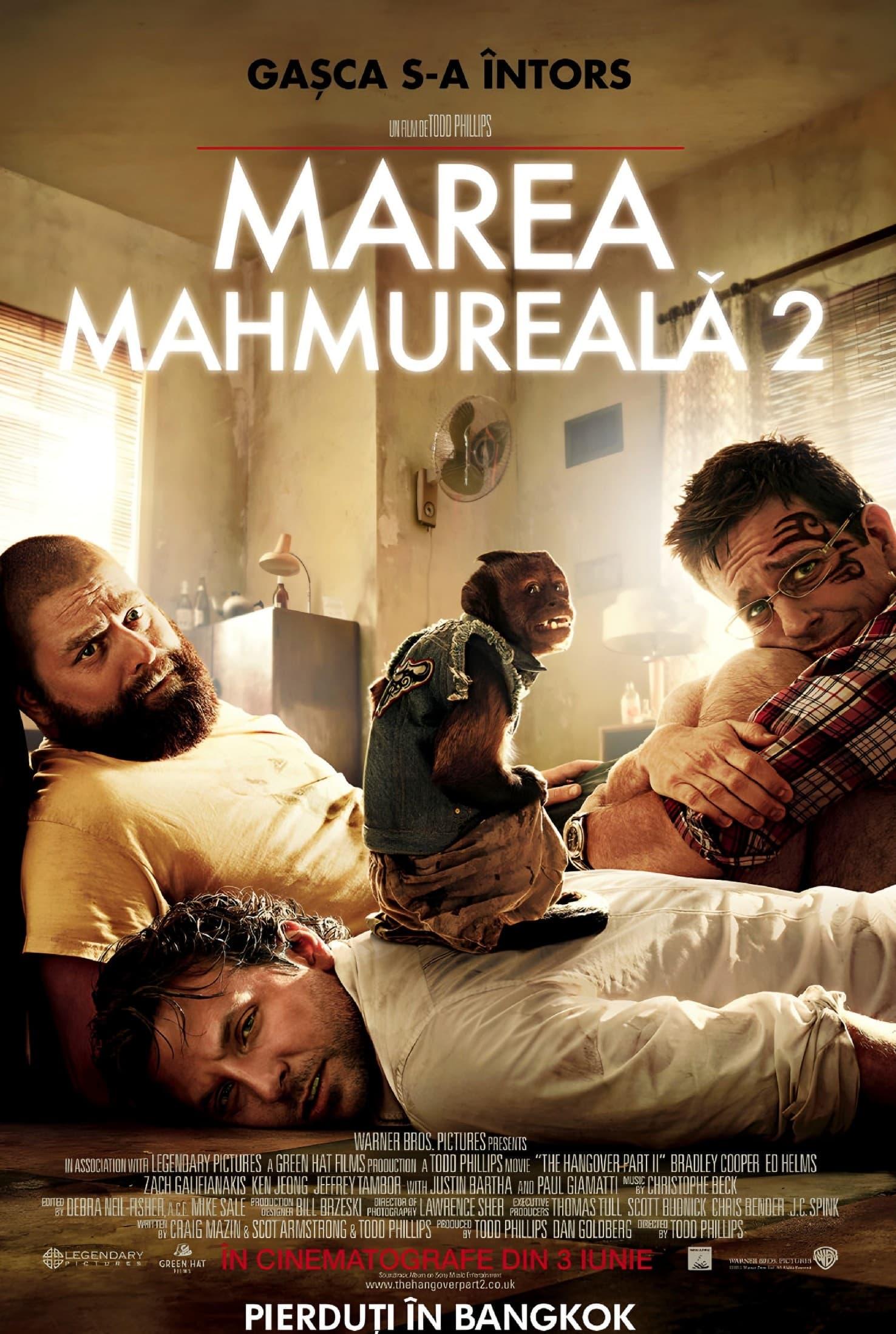 Poster of Marea mahmureală 2