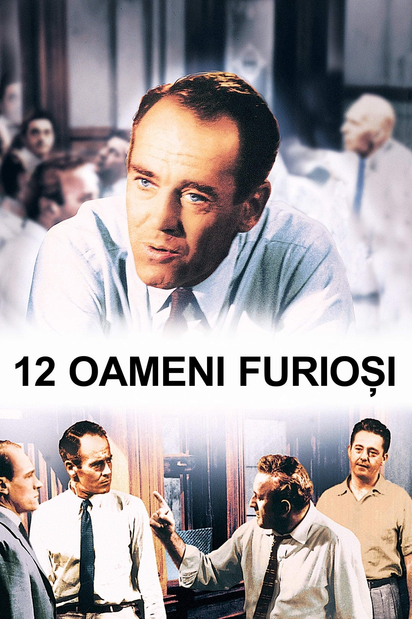 Poster of 12 oameni furioși