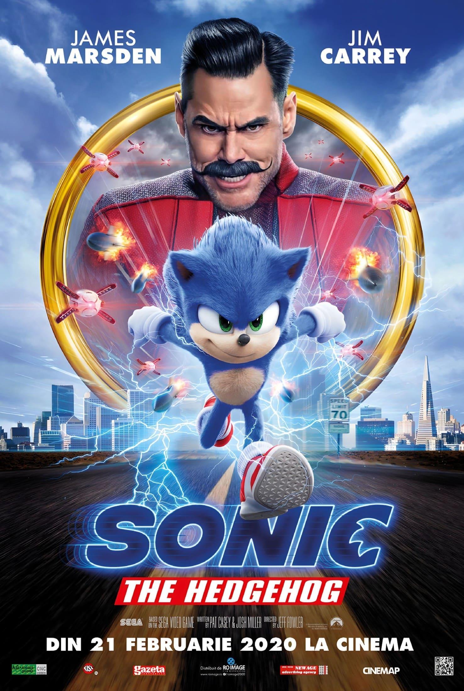 Poster of Sonic ariciul