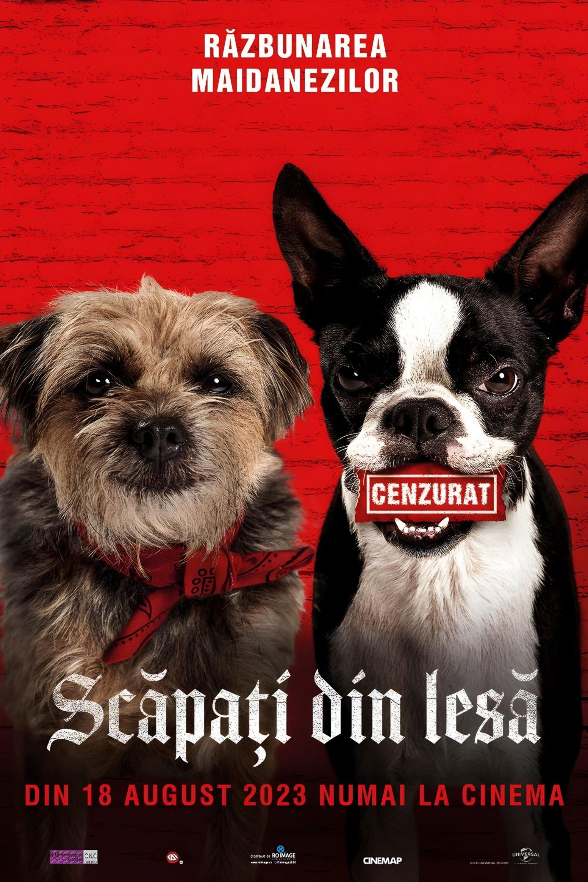 Poster of Scăpați din Lesă