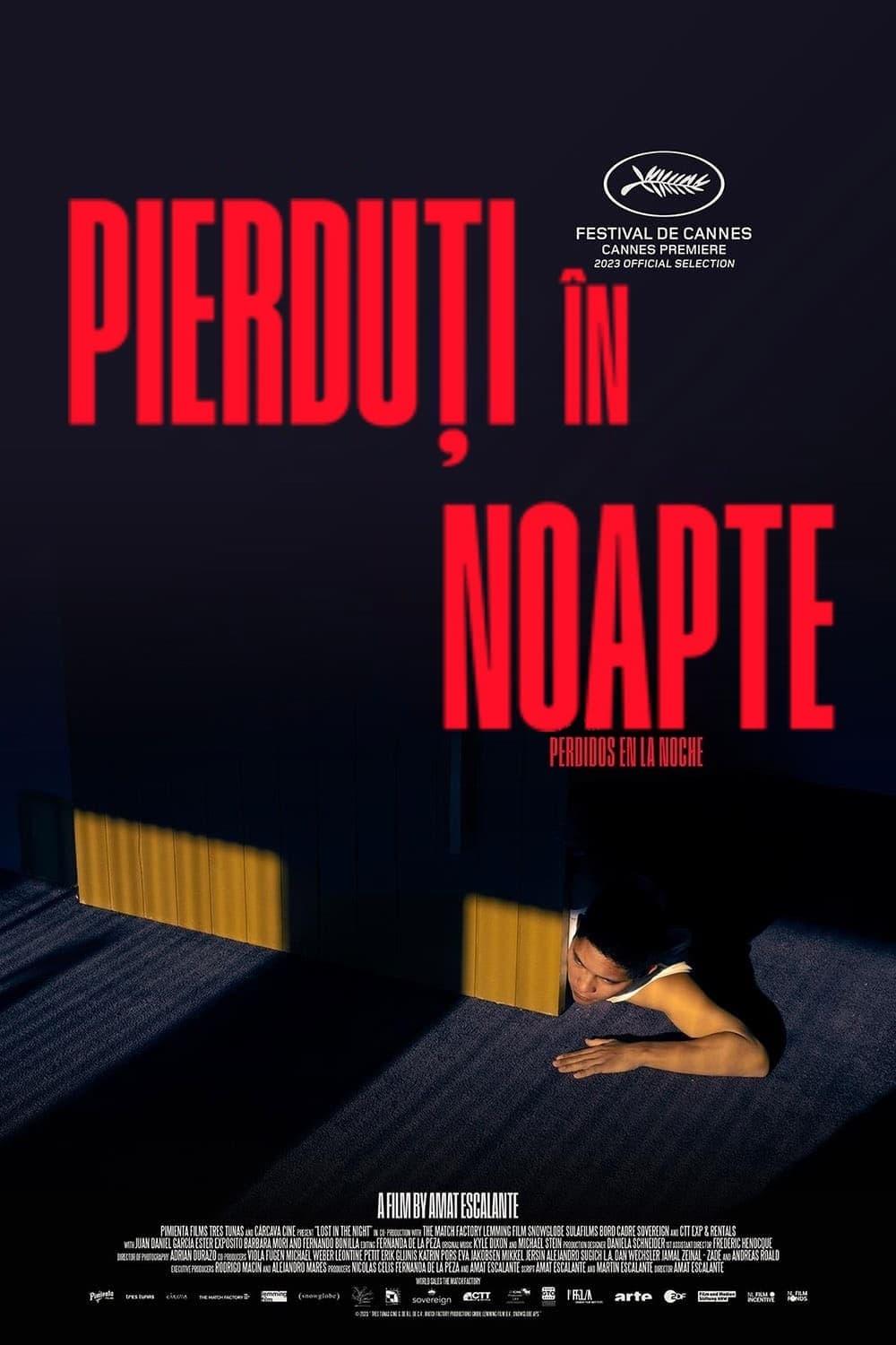 Poster of Perdidos en la noche