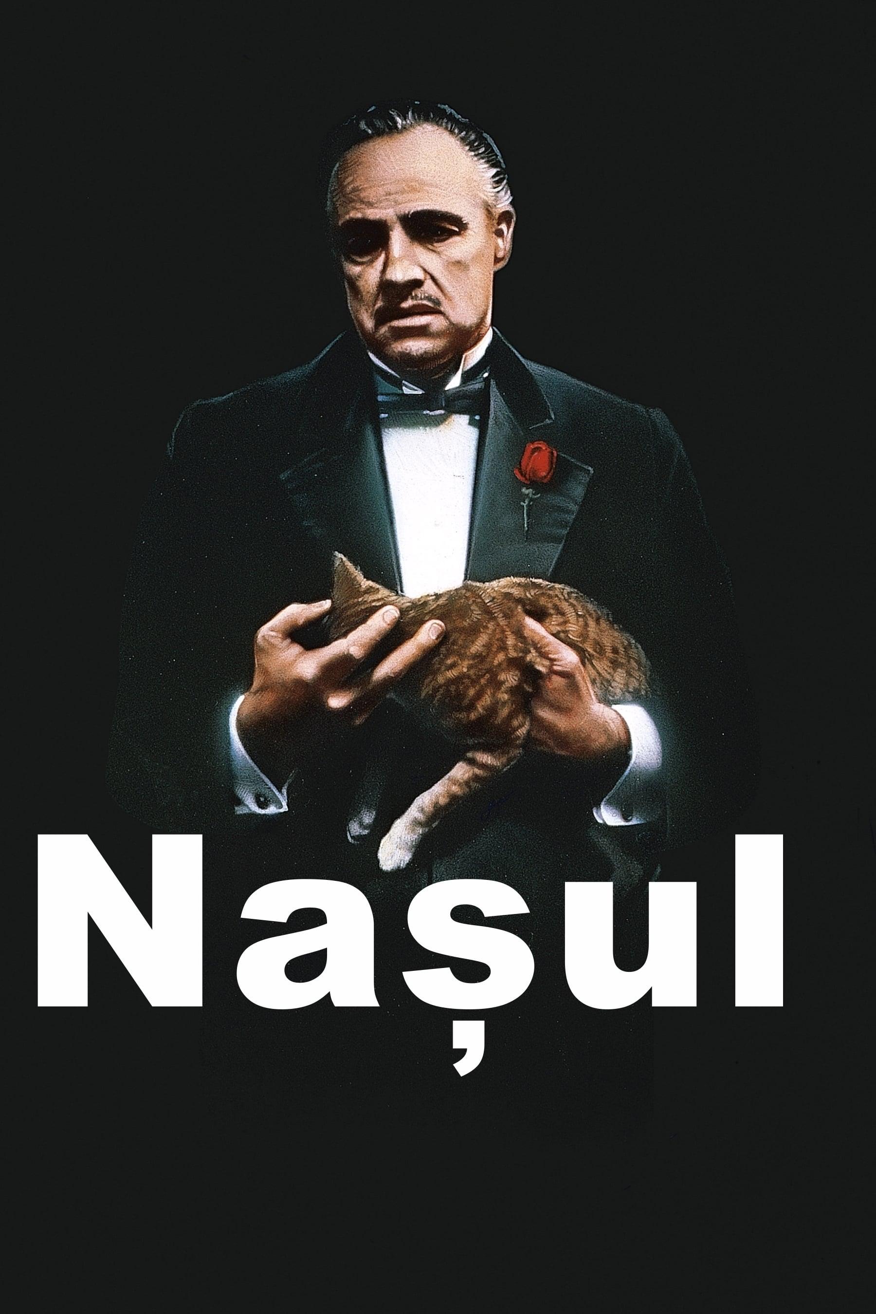 Poster of Nașul